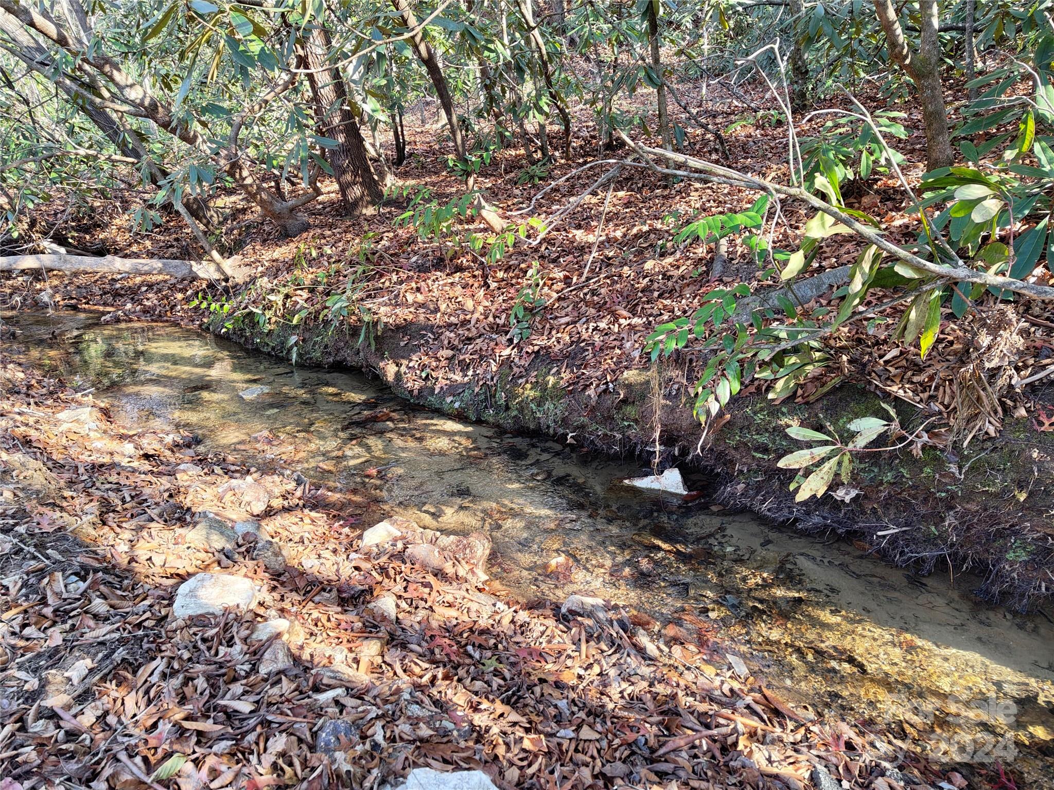 Tbd Moffitt Branch Road Old Fort NC 28762