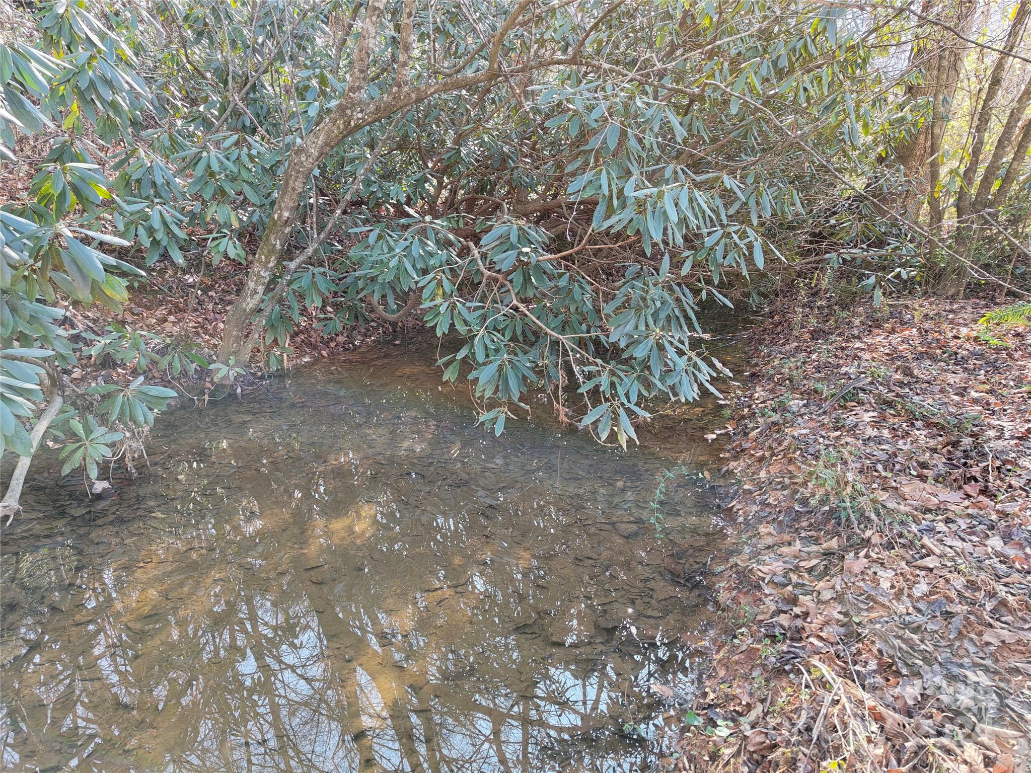 Tbd Moffitt Branch Road Old Fort NC 28762