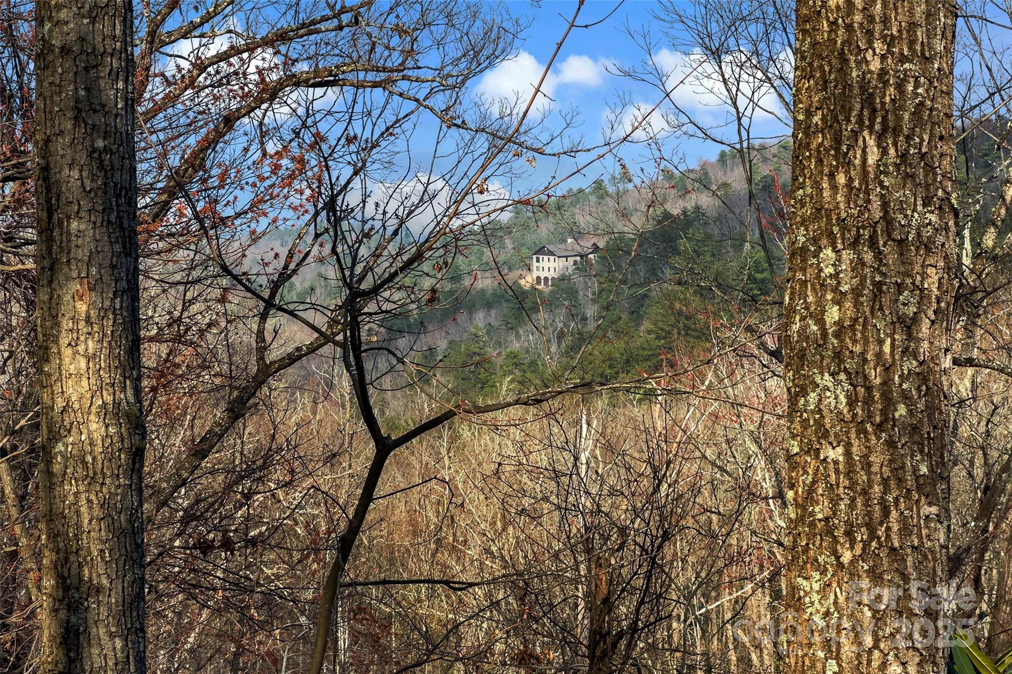 Lot 224 Cumberland Falls Trail Black Mountain NC 28711