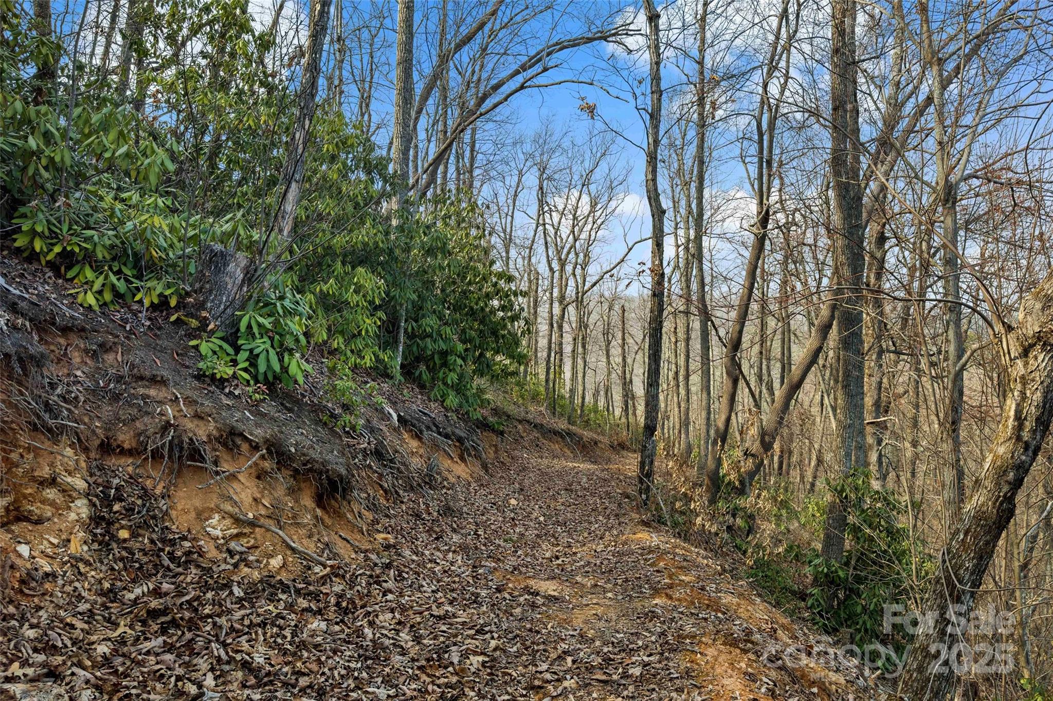 Lot 224 Cumberland Falls Trail Black Mountain NC 28711