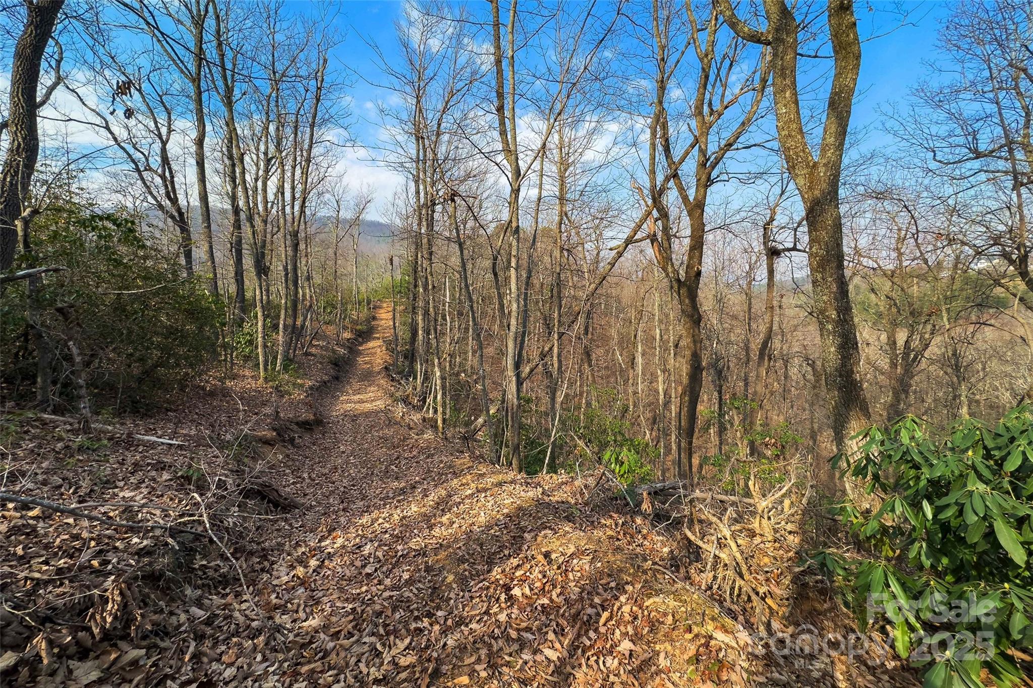 Lot 224 Cumberland Falls Trail Black Mountain NC 28711