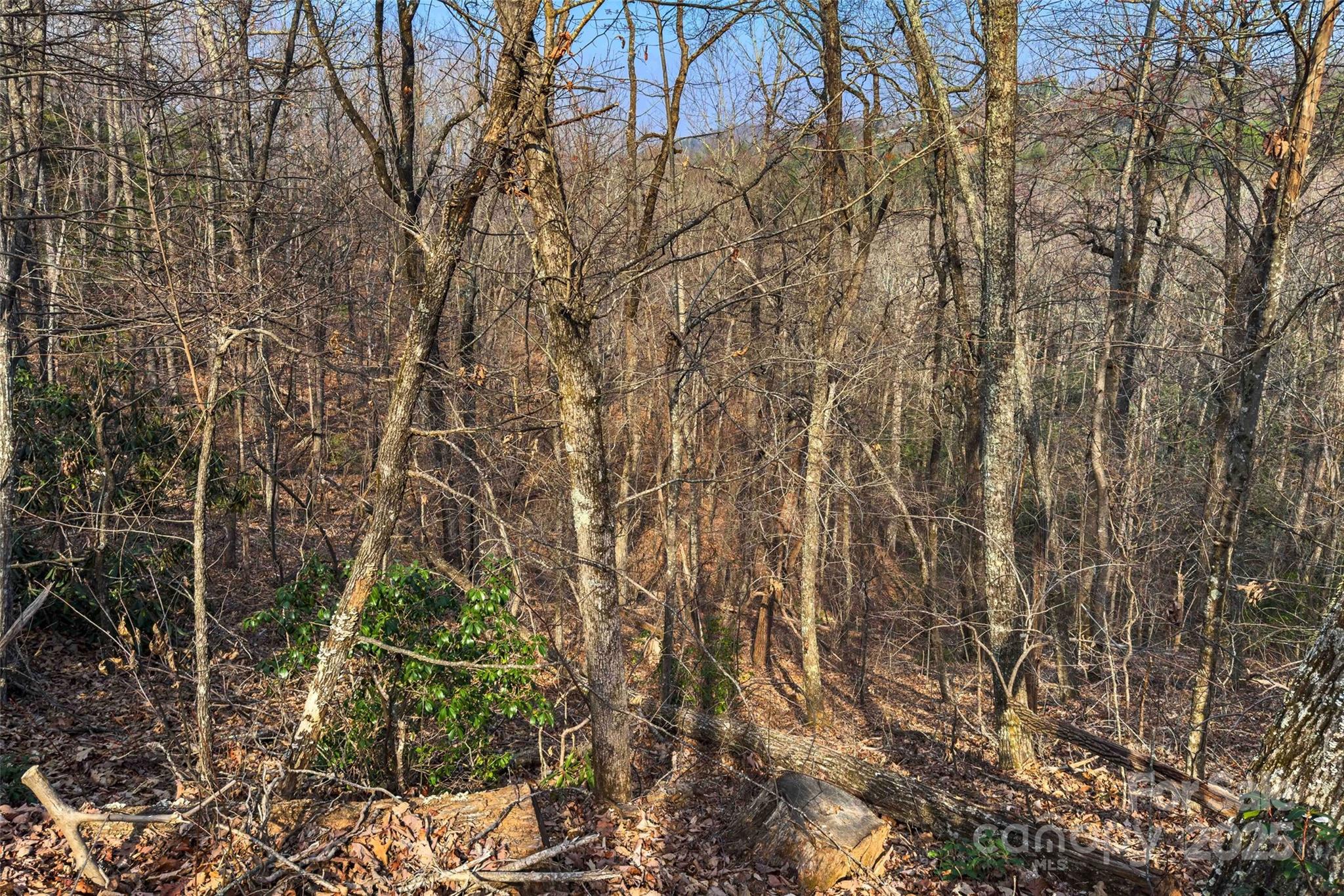 Lot 224 Cumberland Falls Trail Black Mountain NC 28711
