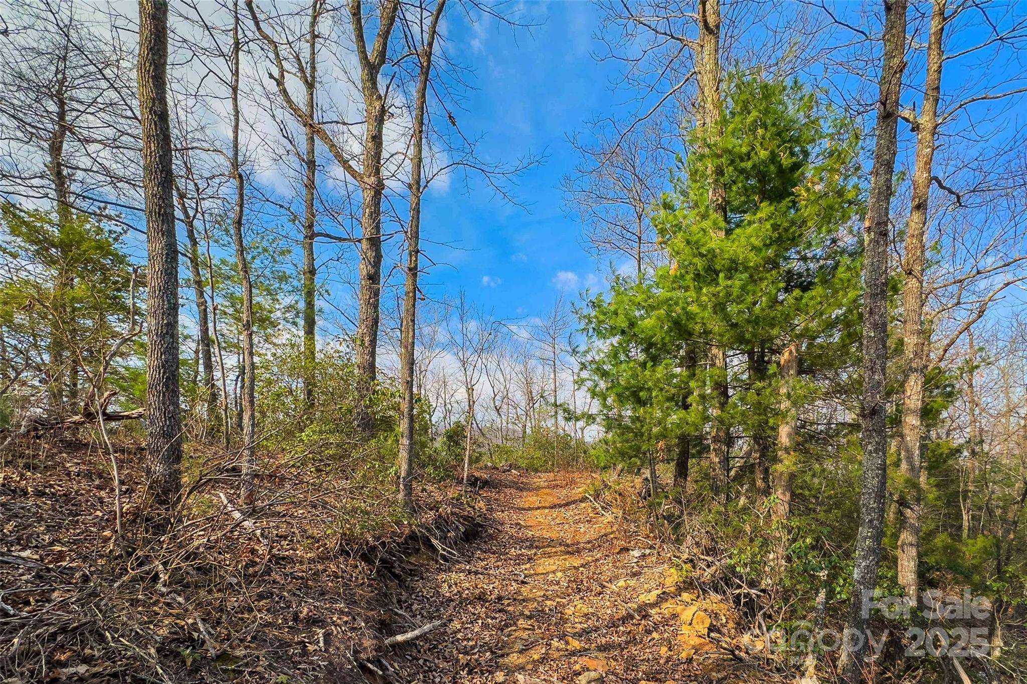 Lot 224 Cumberland Falls Trail Black Mountain NC 28711