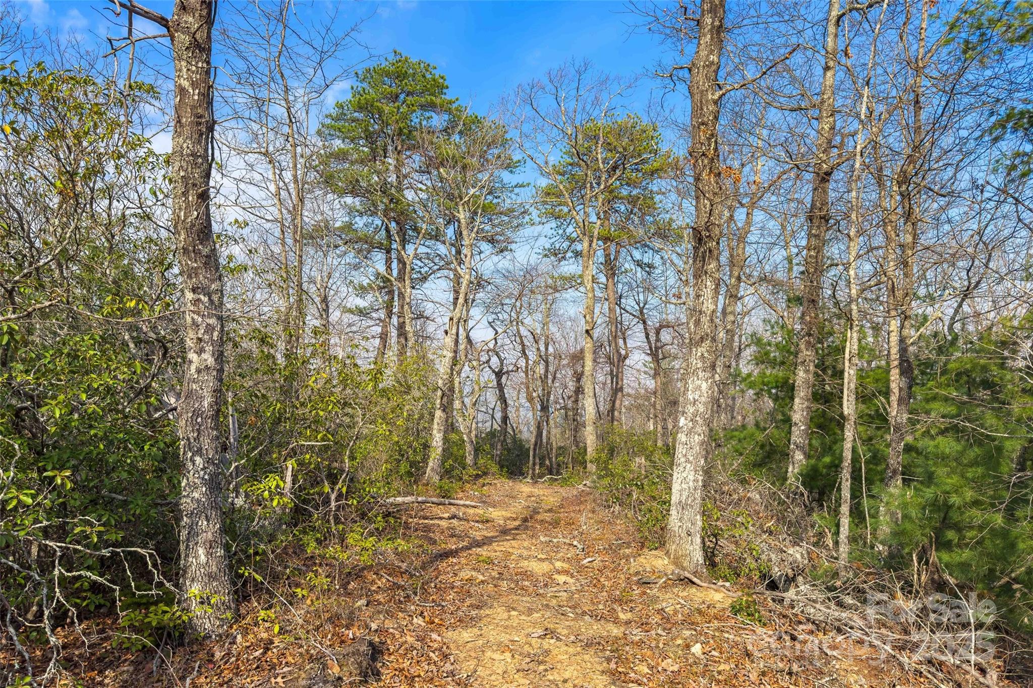 Lot 224 Cumberland Falls Trail Black Mountain NC 28711