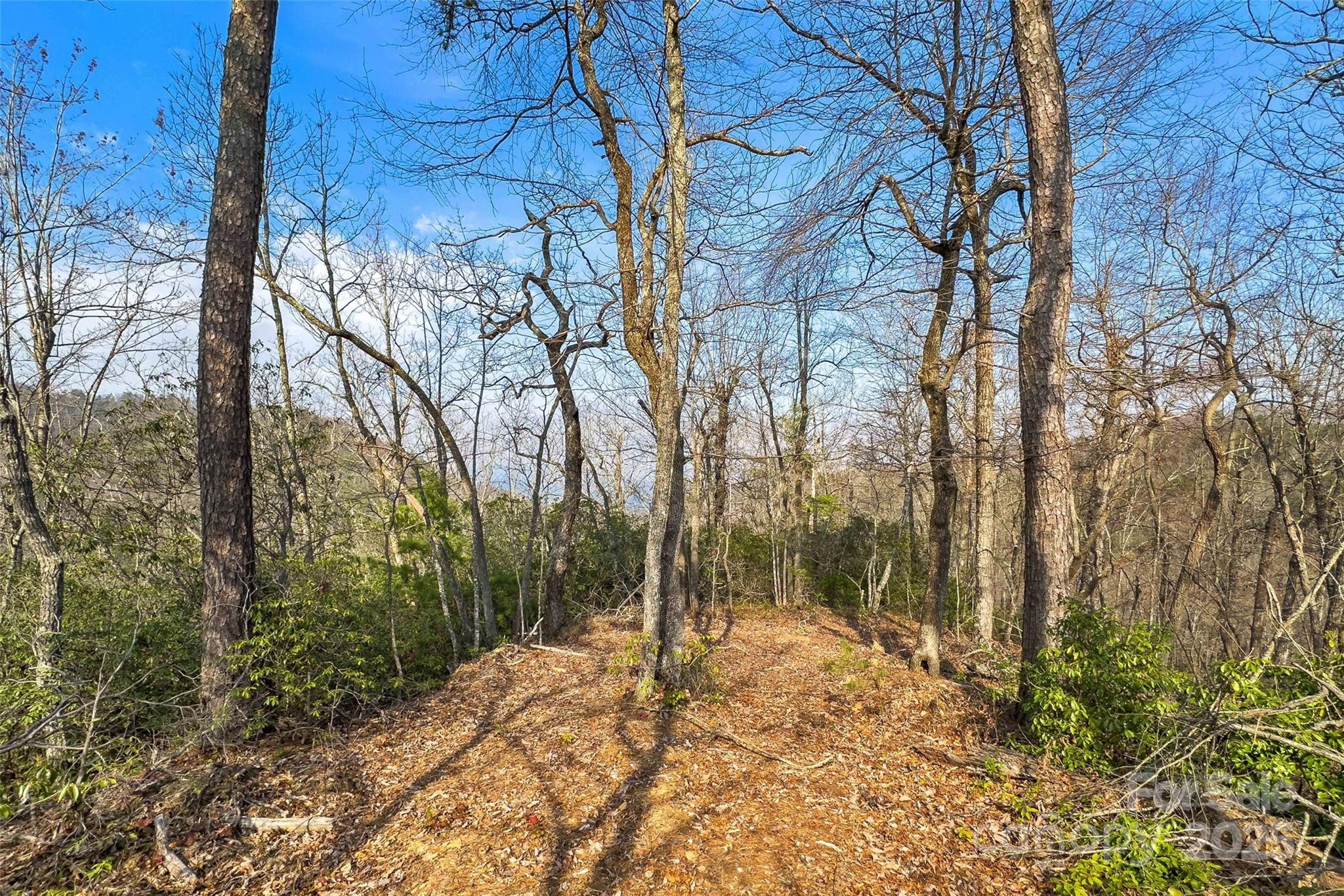 Lot 224 Cumberland Falls Trail Black Mountain NC 28711