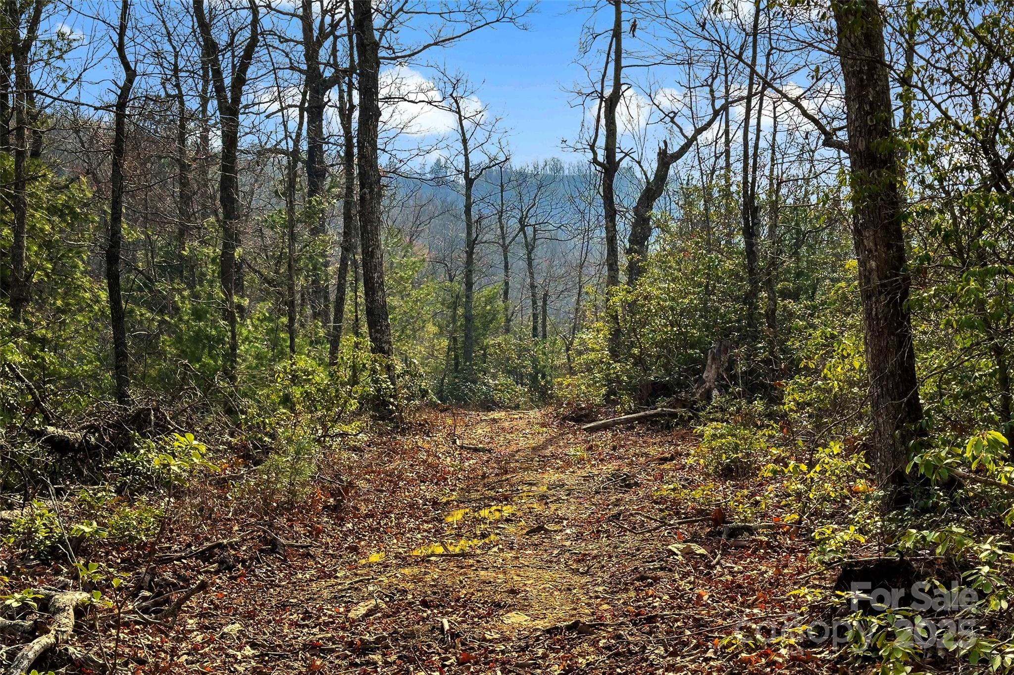Lot 224 Cumberland Falls Trail Black Mountain NC 28711
