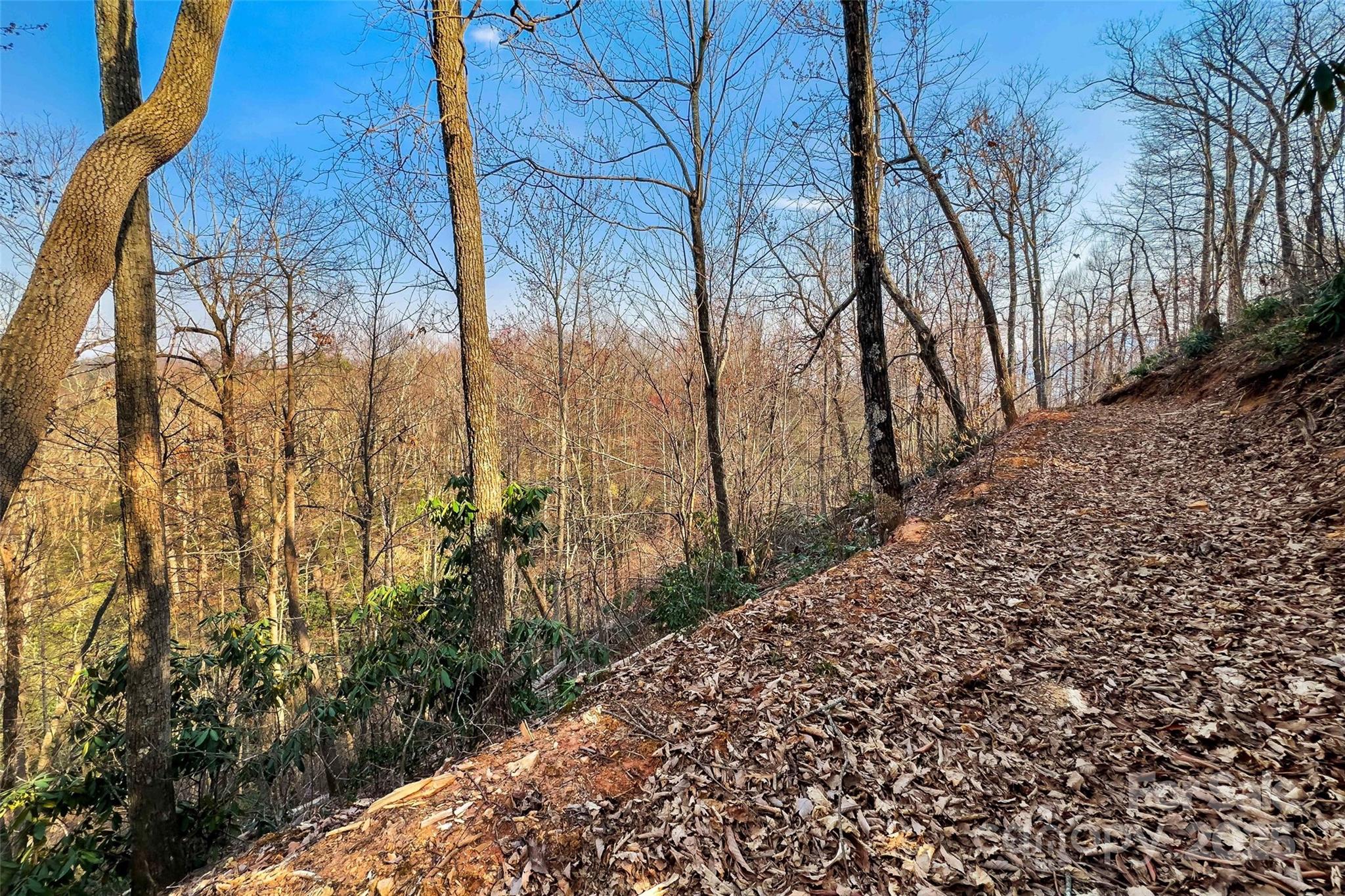 Lot 224 Cumberland Falls Trail Black Mountain NC 28711