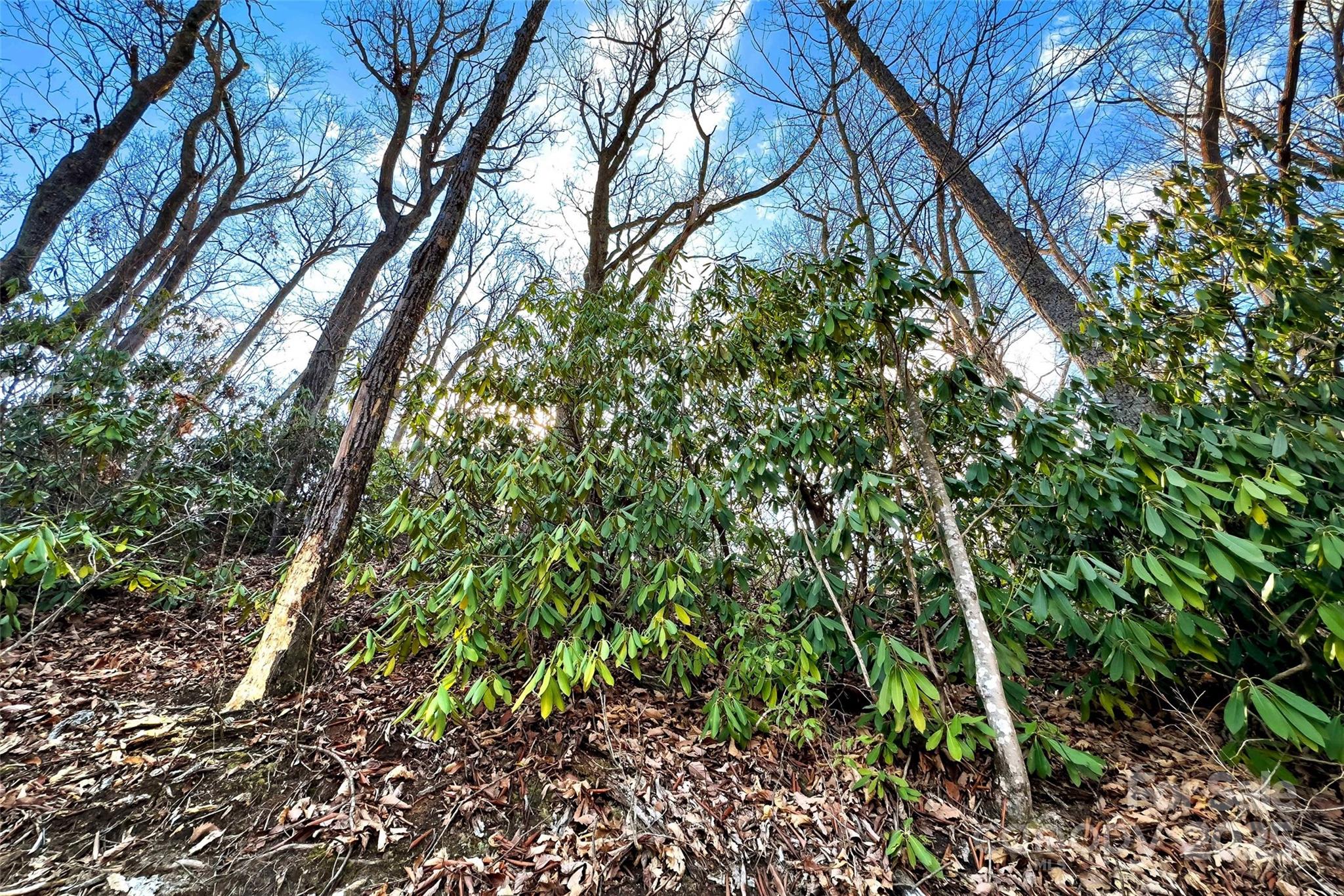Lot 224 Cumberland Falls Trail Black Mountain NC 28711