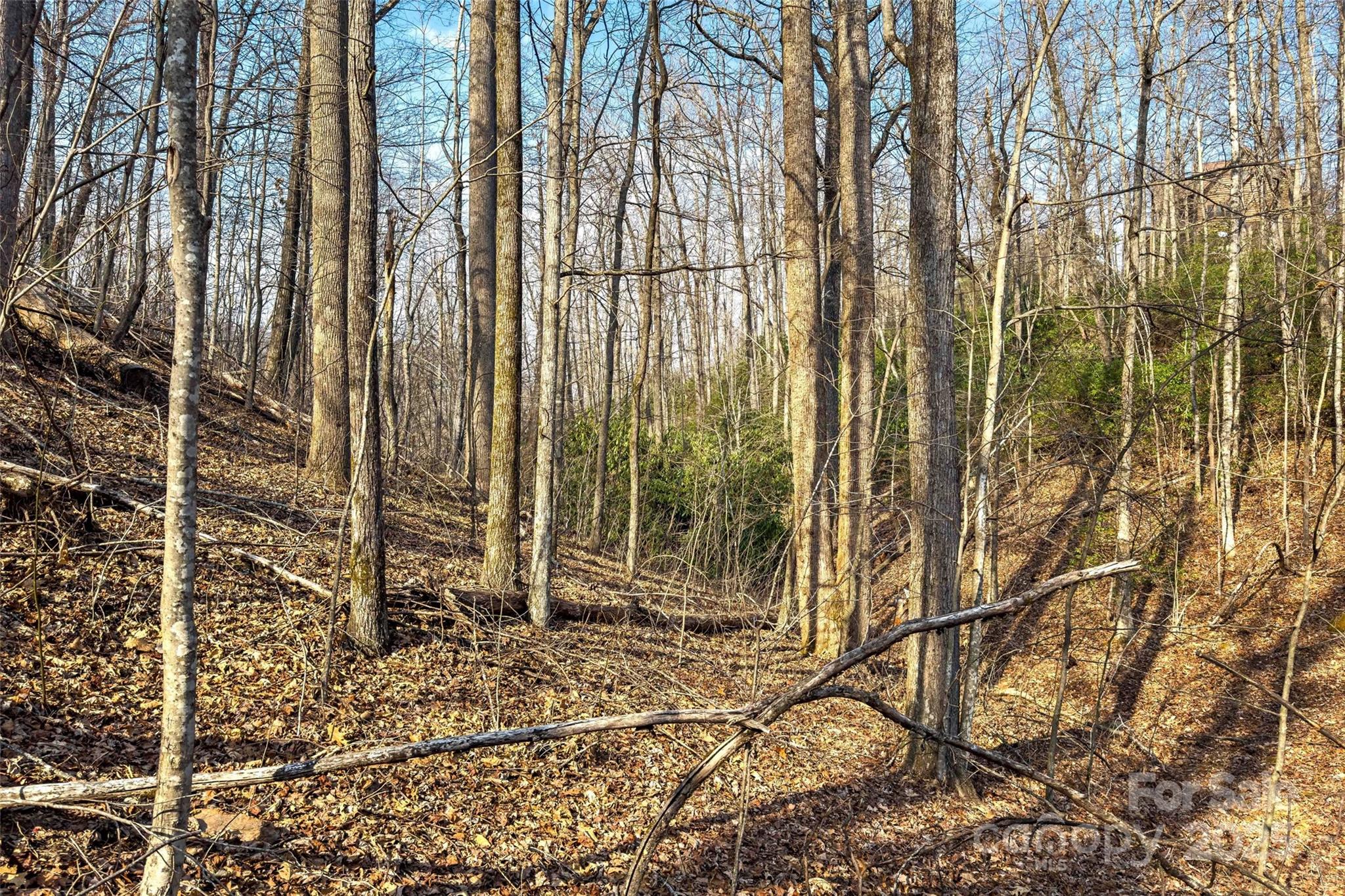 Lot 224 Cumberland Falls Trail Black Mountain NC 28711