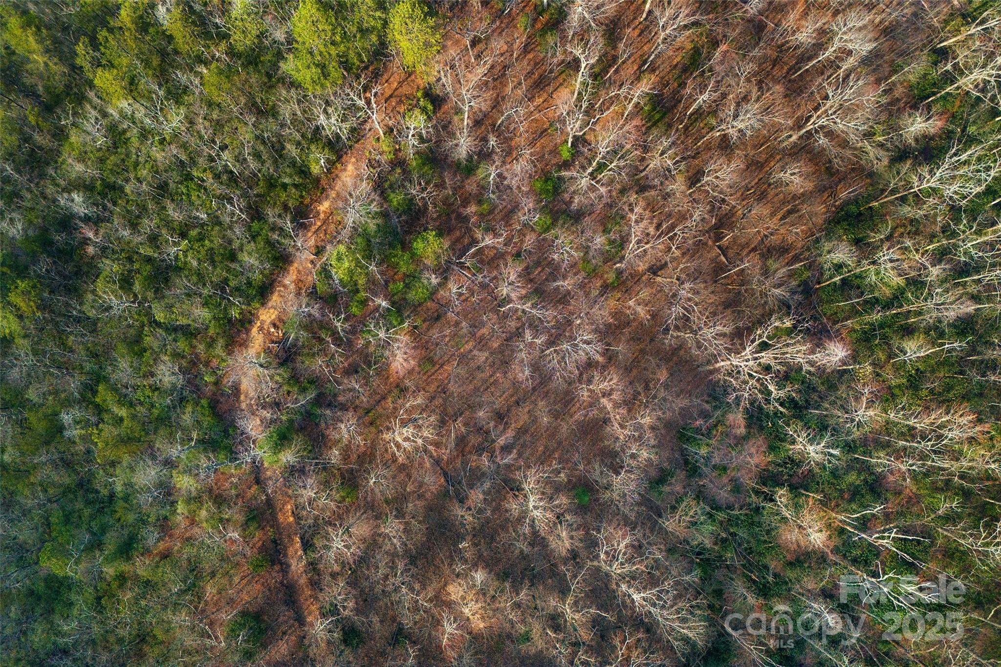 Lot 224 Cumberland Falls Trail Black Mountain NC 28711