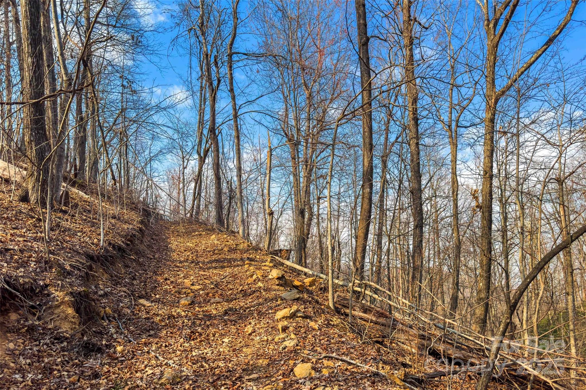 Lot 224 Cumberland Falls Trail Black Mountain NC 28711