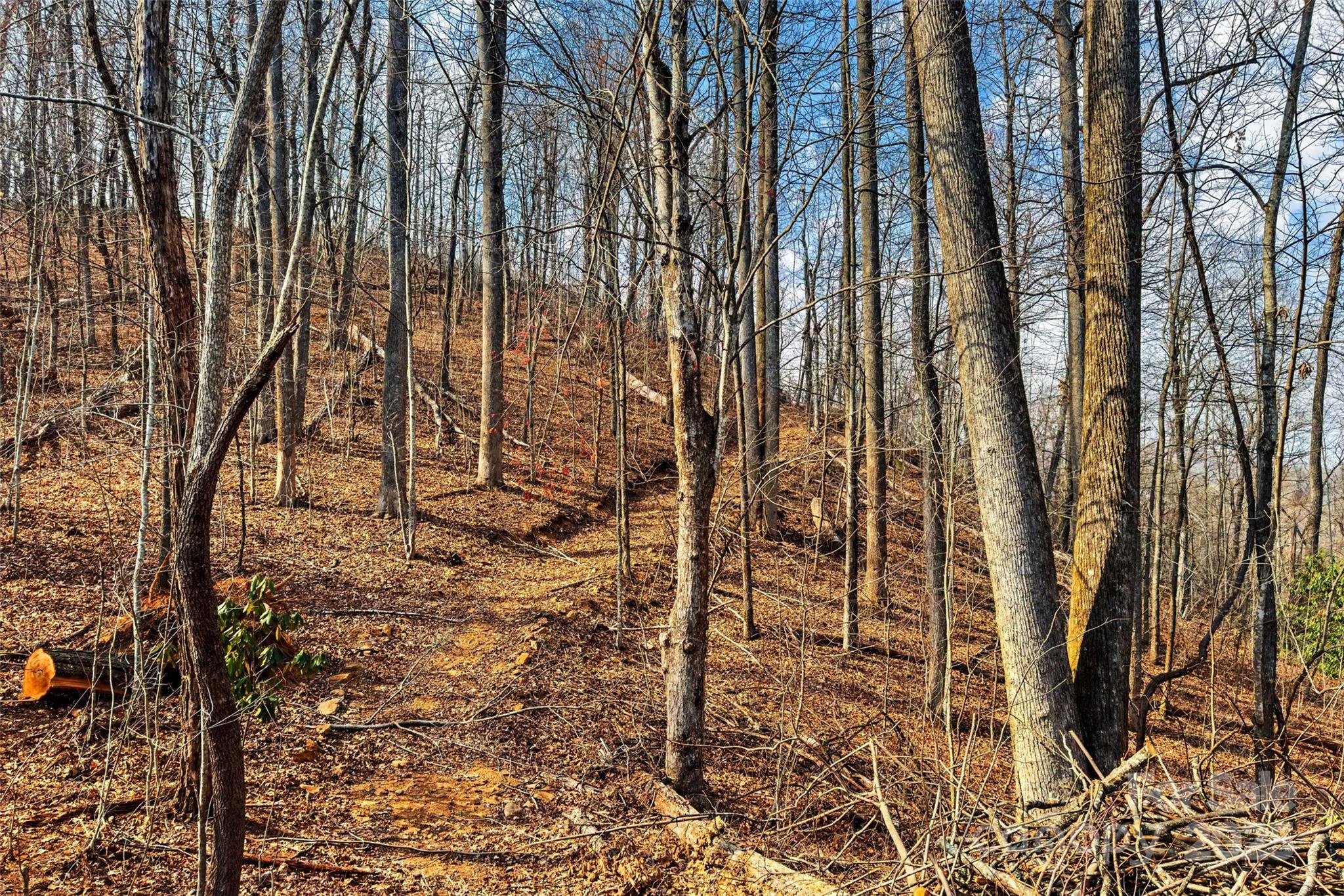 Lot 224 Cumberland Falls Trail Black Mountain NC 28711