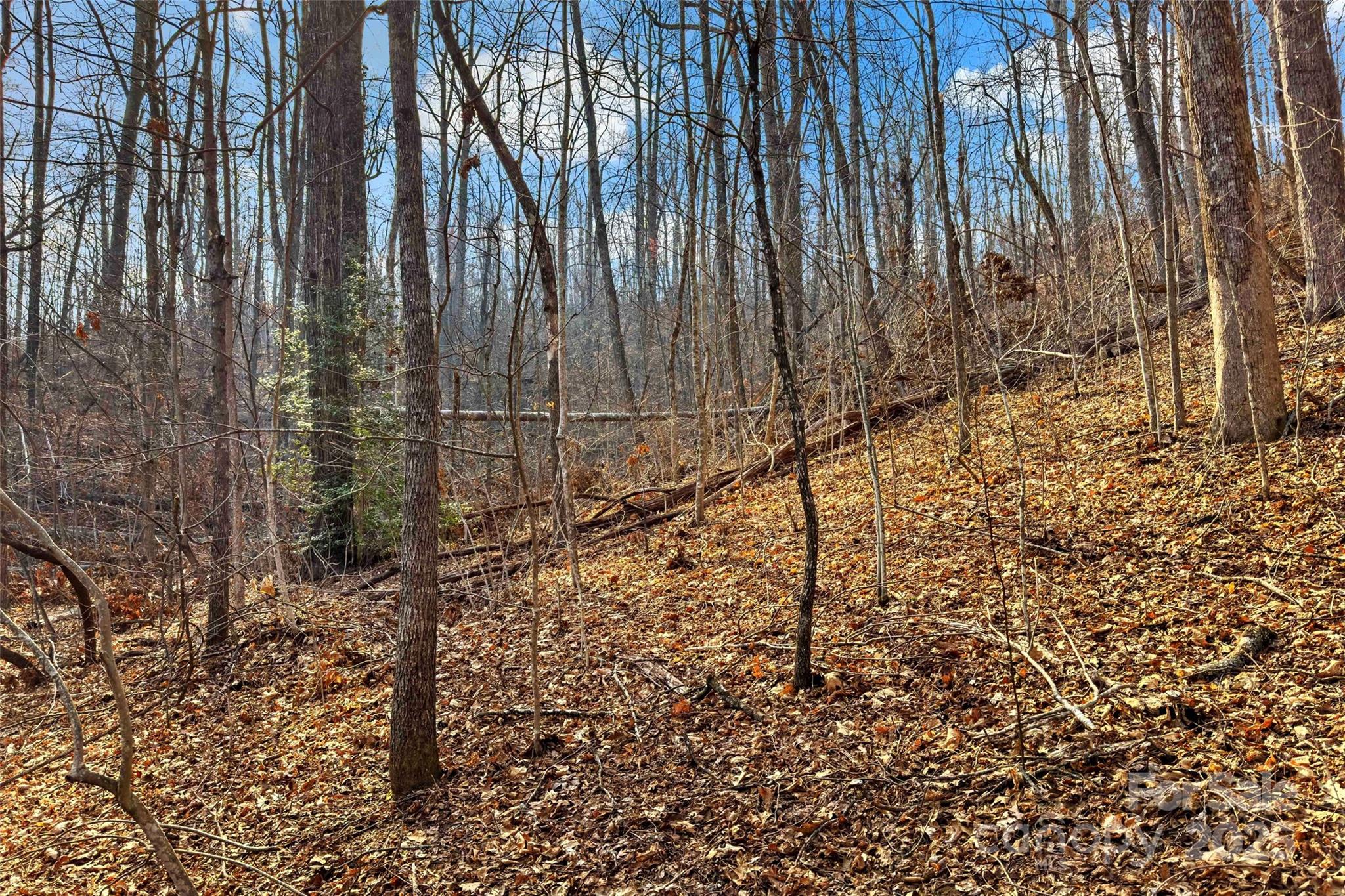 Lot 224 Cumberland Falls Trail Black Mountain NC 28711