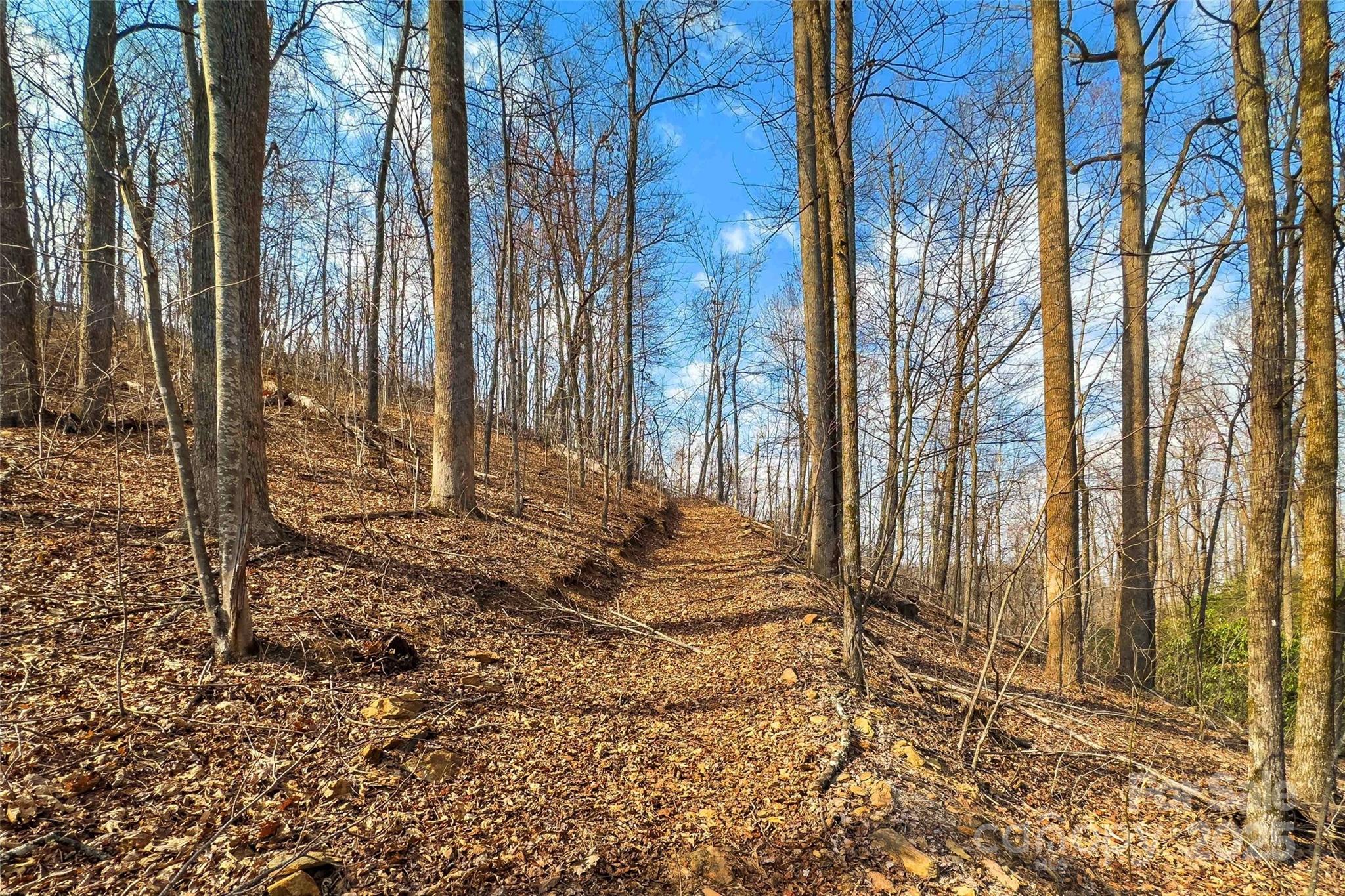 Lot 224 Cumberland Falls Trail Black Mountain NC 28711