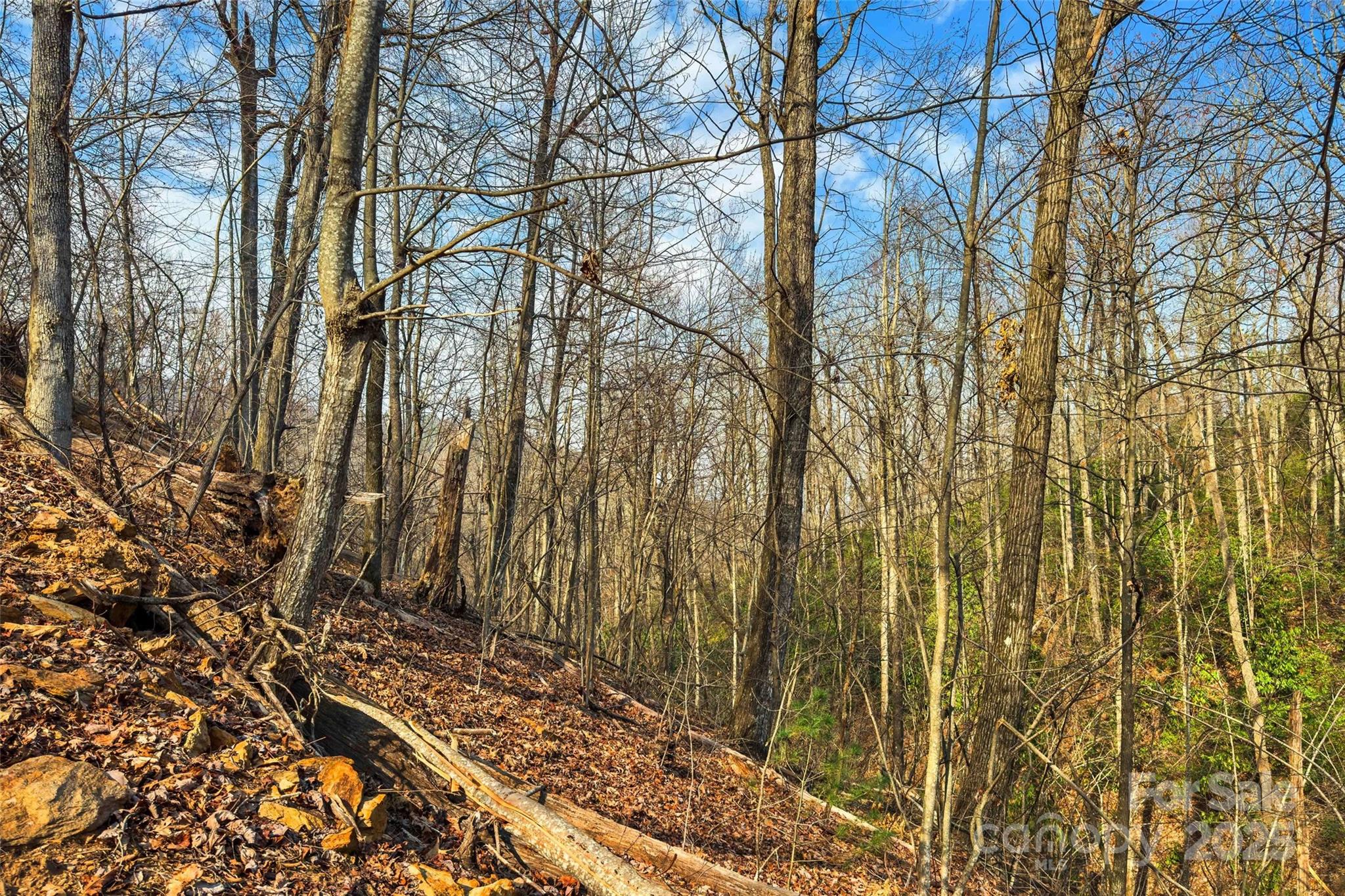 Lot 224 Cumberland Falls Trail Black Mountain NC 28711