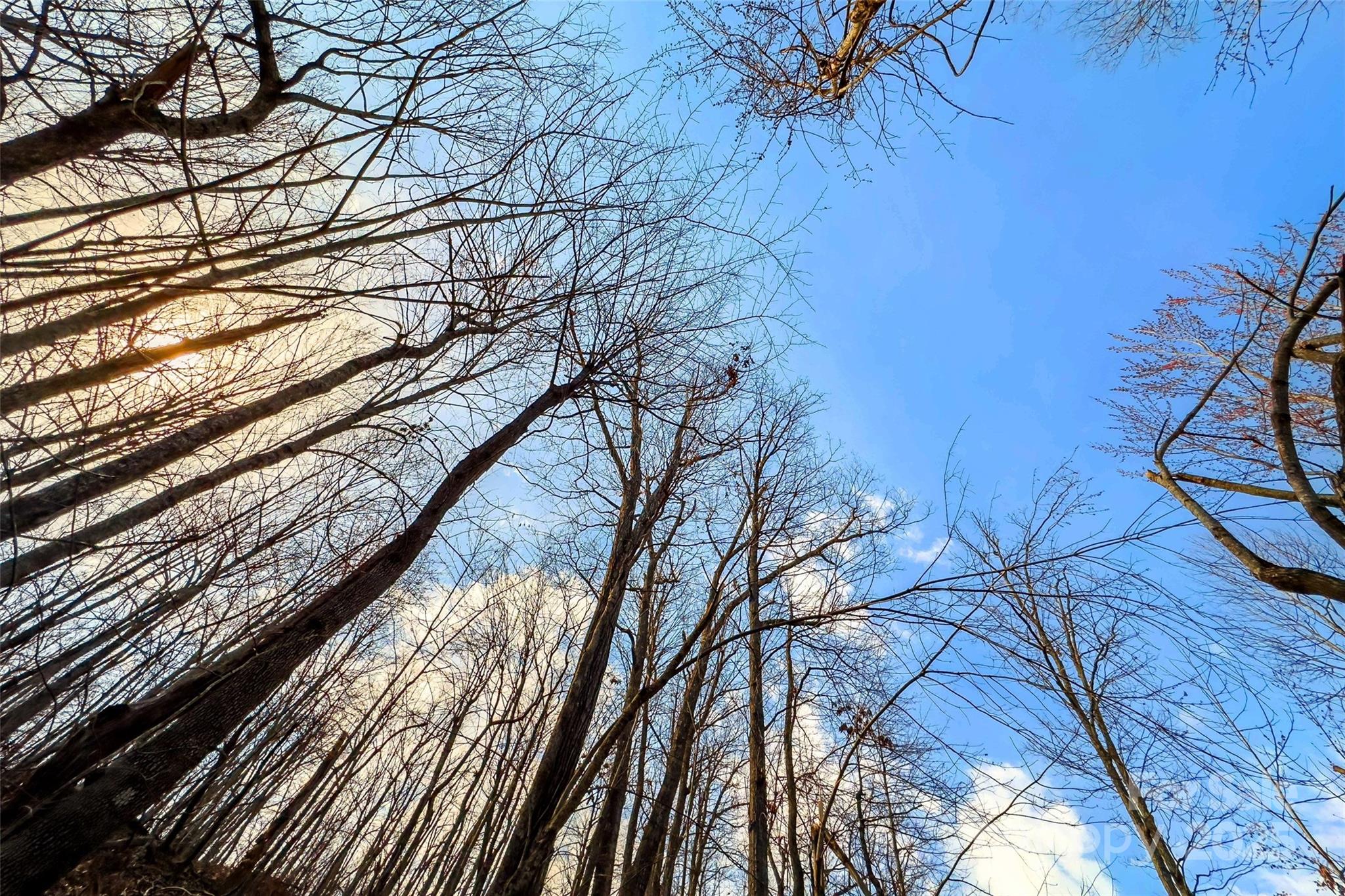 Lot 224 Cumberland Falls Trail Black Mountain NC 28711