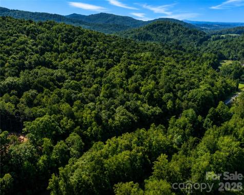 00-00 (9.99 Acres) Boone Gap Lane Taylorsville NC 28681