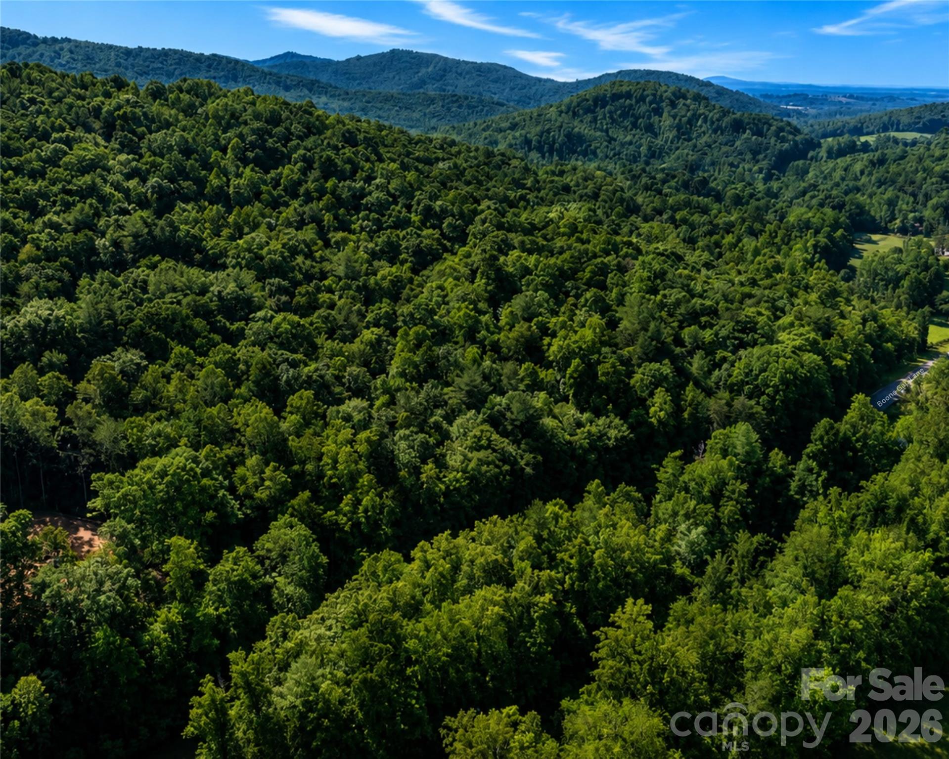 00-00 (9.99 Acres) Boone Gap Lane Taylorsville NC 28681
