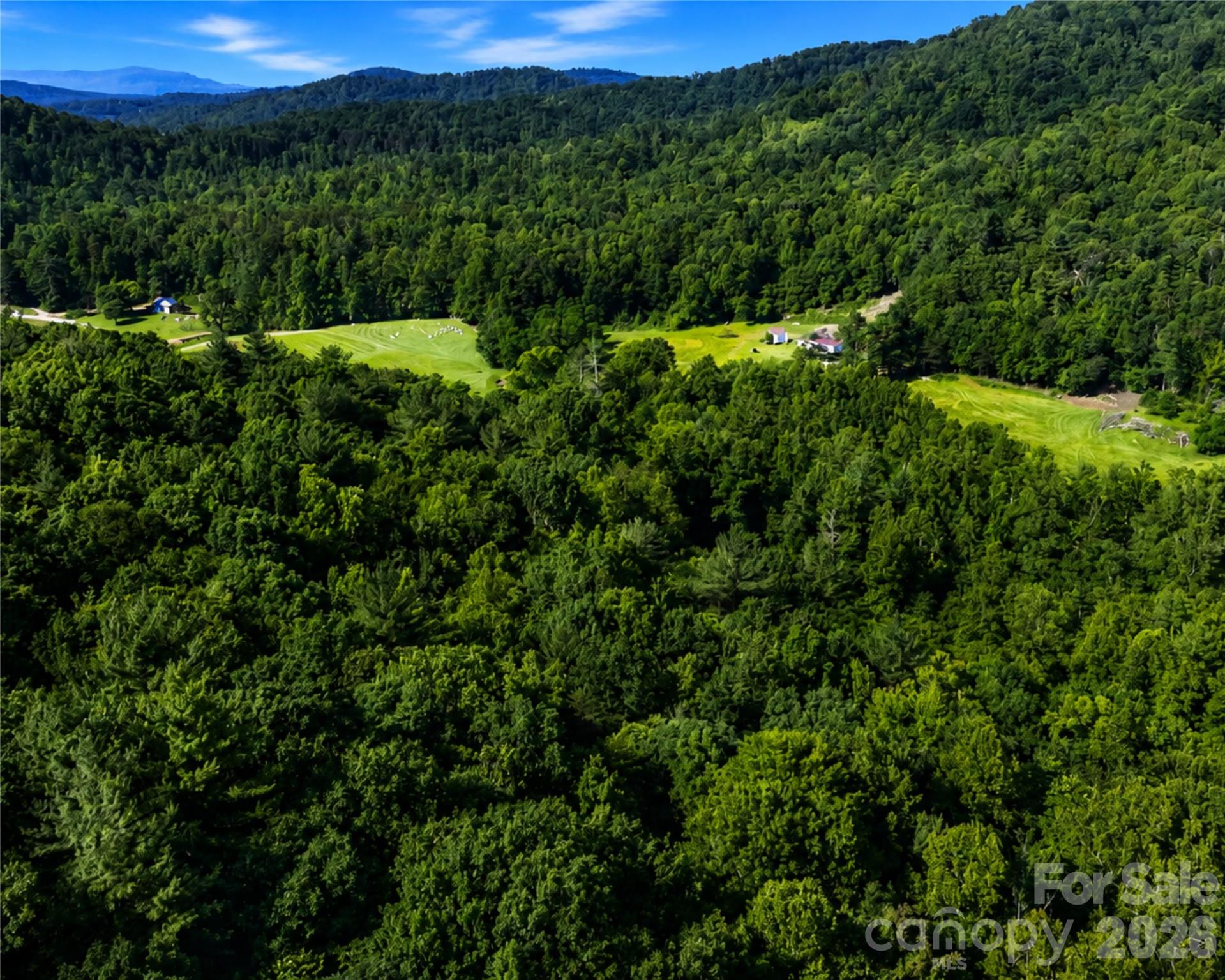00-00 (9.99 Acres) Boone Gap Lane Taylorsville NC 28681
