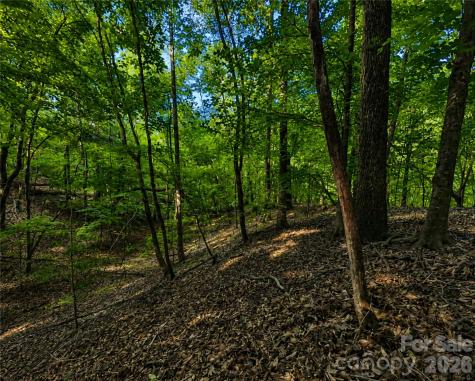 00-00 (9.99 Acres) Boone Gap Lane Taylorsville NC 28681