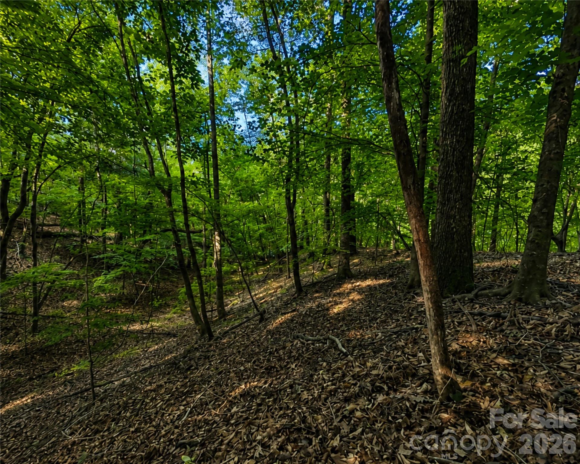 00-00 (9.99 Acres) Boone Gap Lane Taylorsville NC 28681