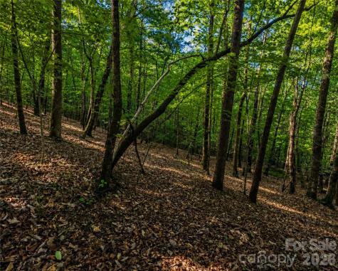00-00 (9.99 Acres) Boone Gap Lane Taylorsville NC 28681