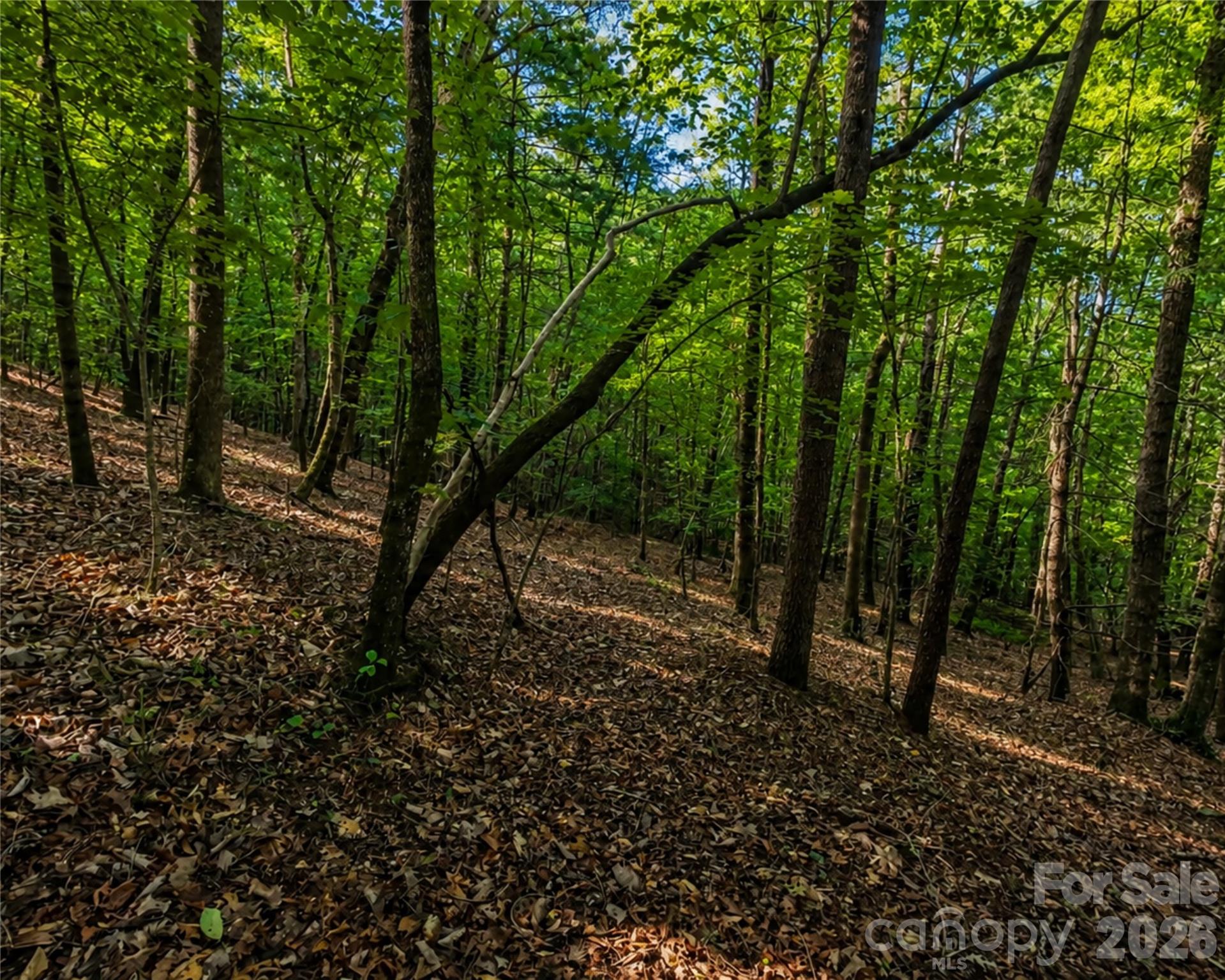 00-00 (9.99 Acres) Boone Gap Lane Taylorsville NC 28681
