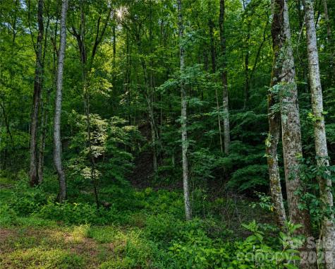 00-00 (9.99 Acres) Boone Gap Lane Taylorsville NC 28681