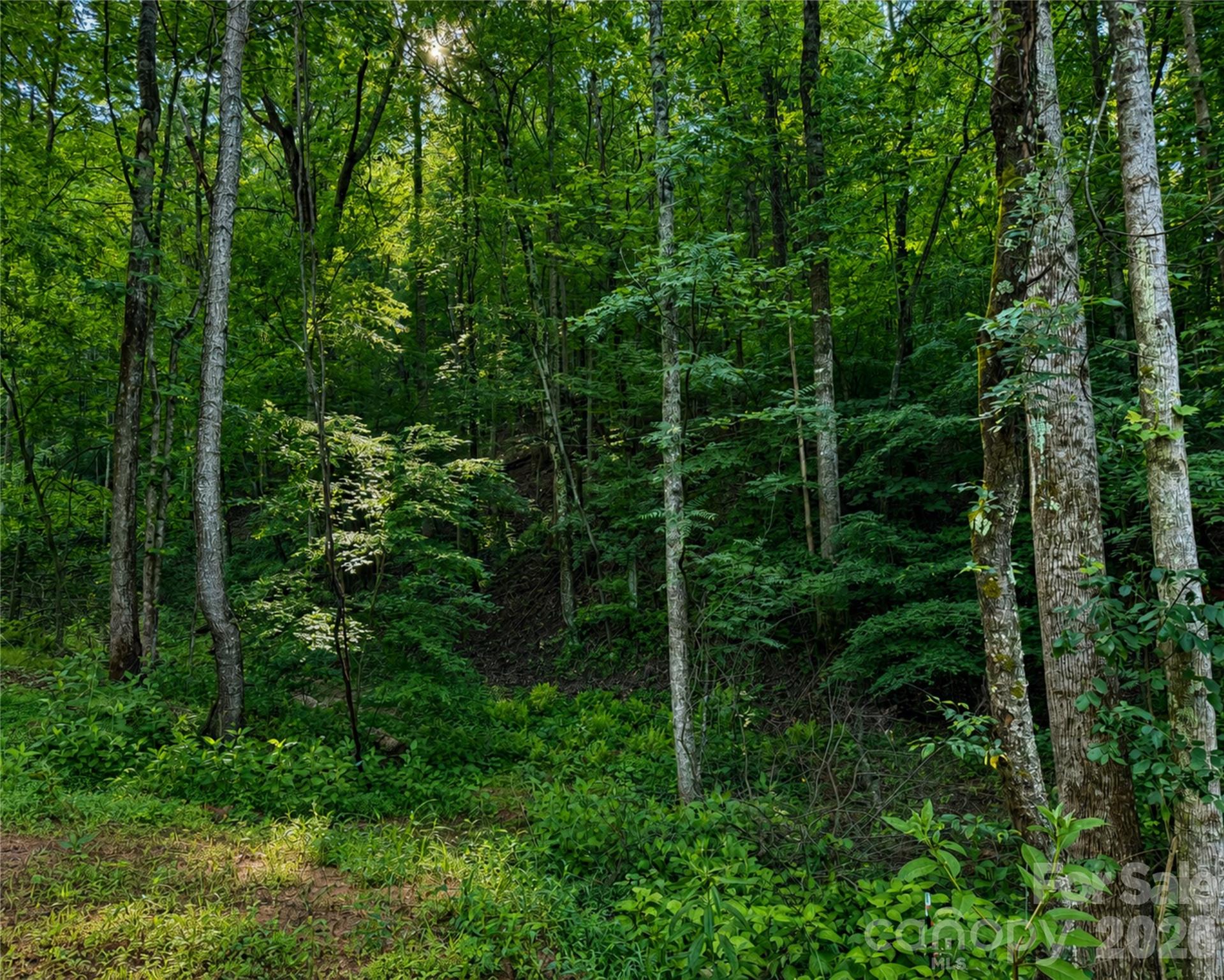 00-00 (9.99 Acres) Boone Gap Lane Taylorsville NC 28681
