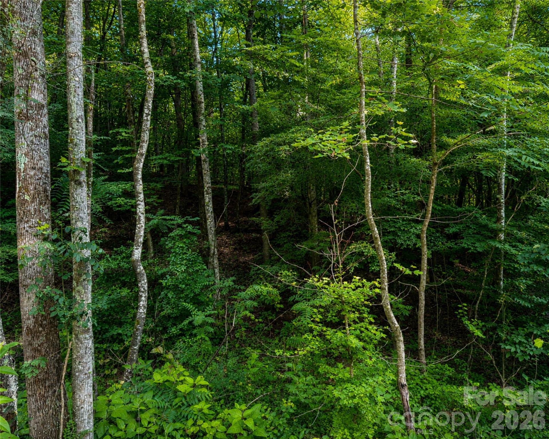 00-00 (9.99 Acres) Boone Gap Lane Taylorsville NC 28681