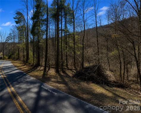 00-00 (9.99 Acres) Boone Gap Lane Taylorsville NC 28681
