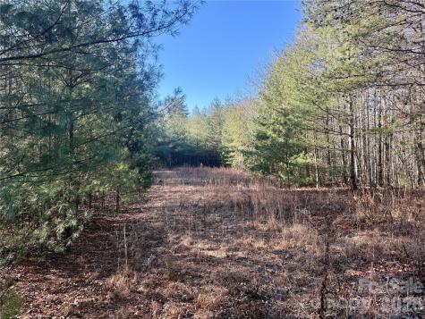 2095 Hitching Post Trail Lenoir NC 28645
