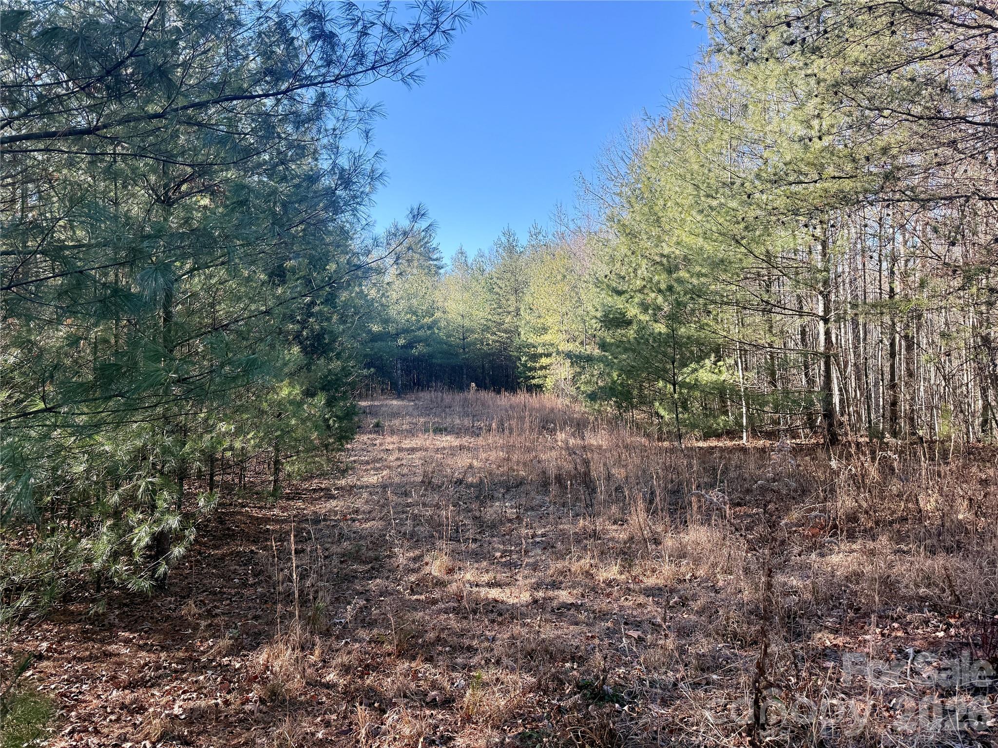 2095 Hitching Post Trail Lenoir NC 28645