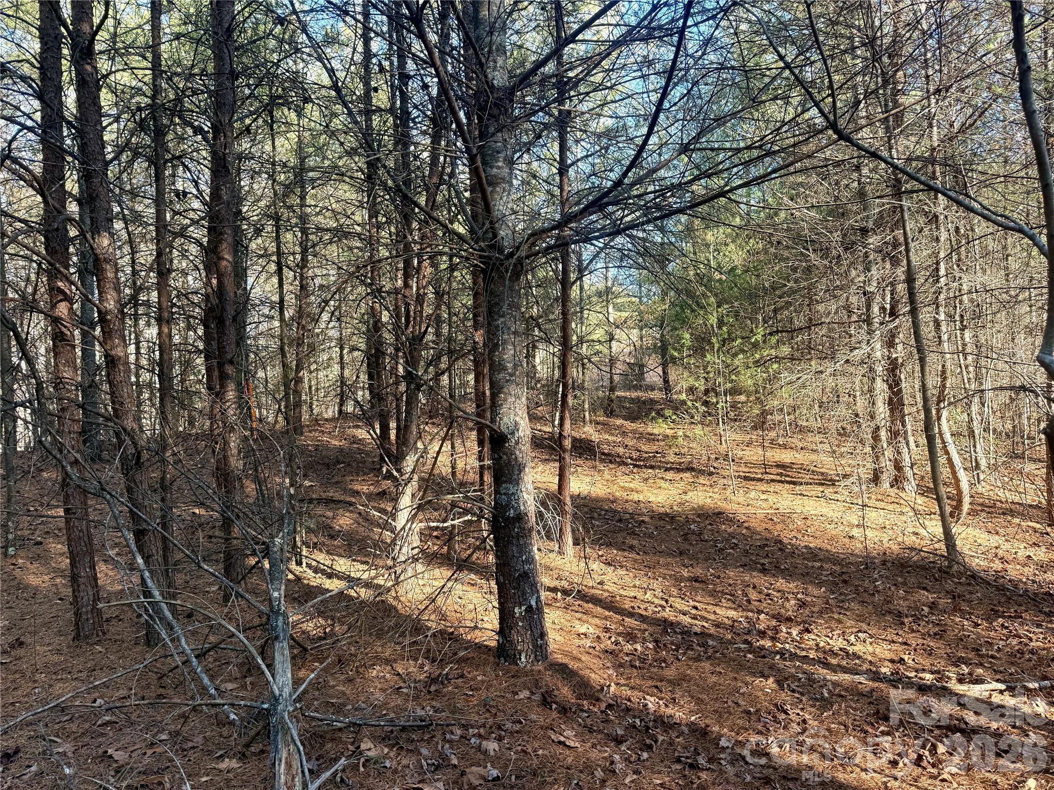 2095 Hitching Post Trail Lenoir NC 28645