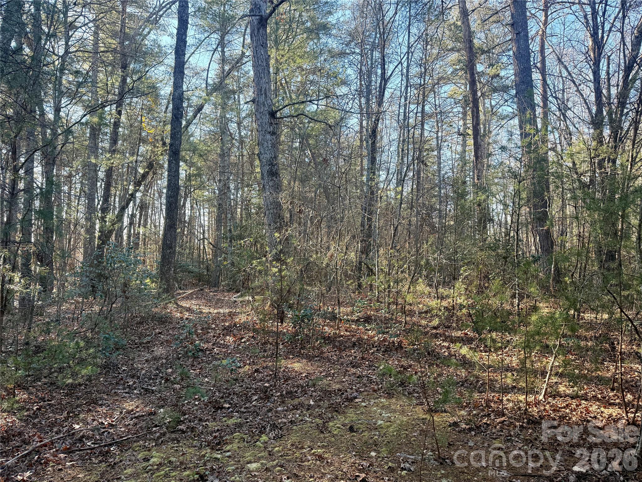 2095 Hitching Post Trail Lenoir NC 28645