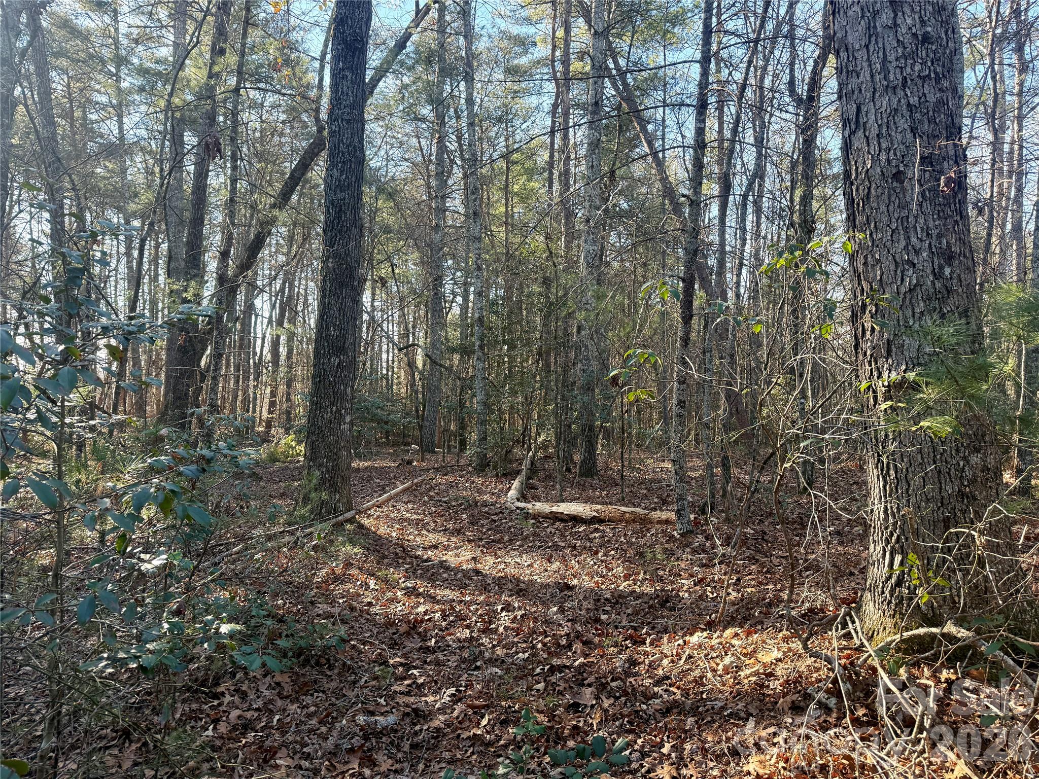 2095 Hitching Post Trail Lenoir NC 28645