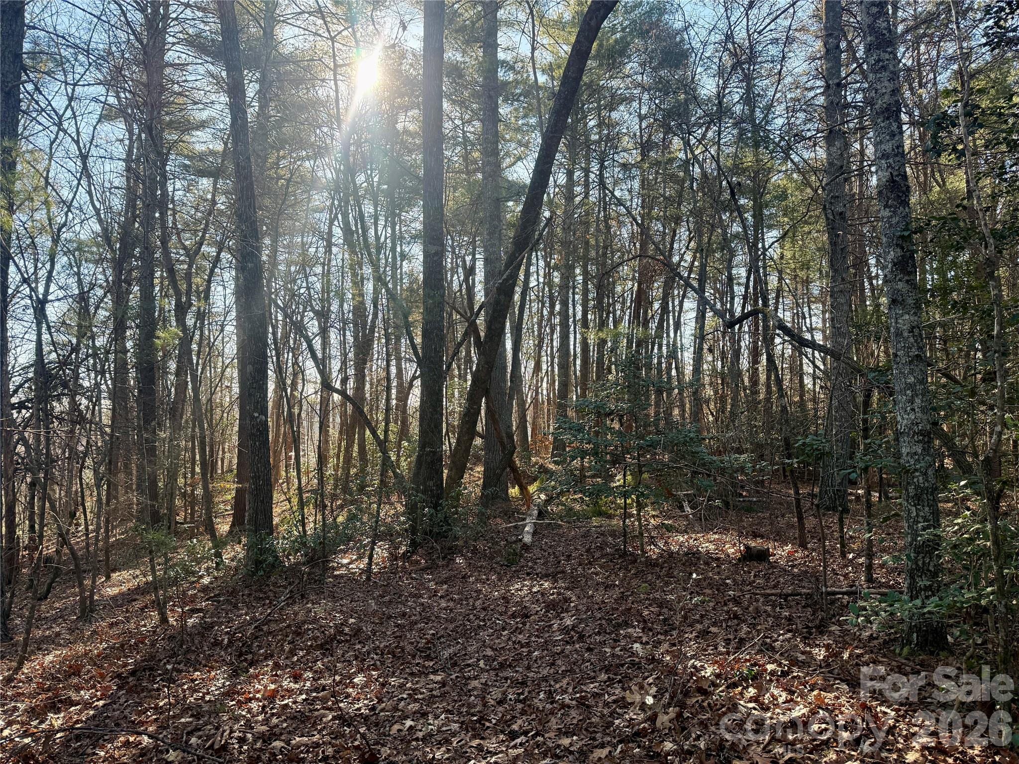 2095 Hitching Post Trail Lenoir NC 28645