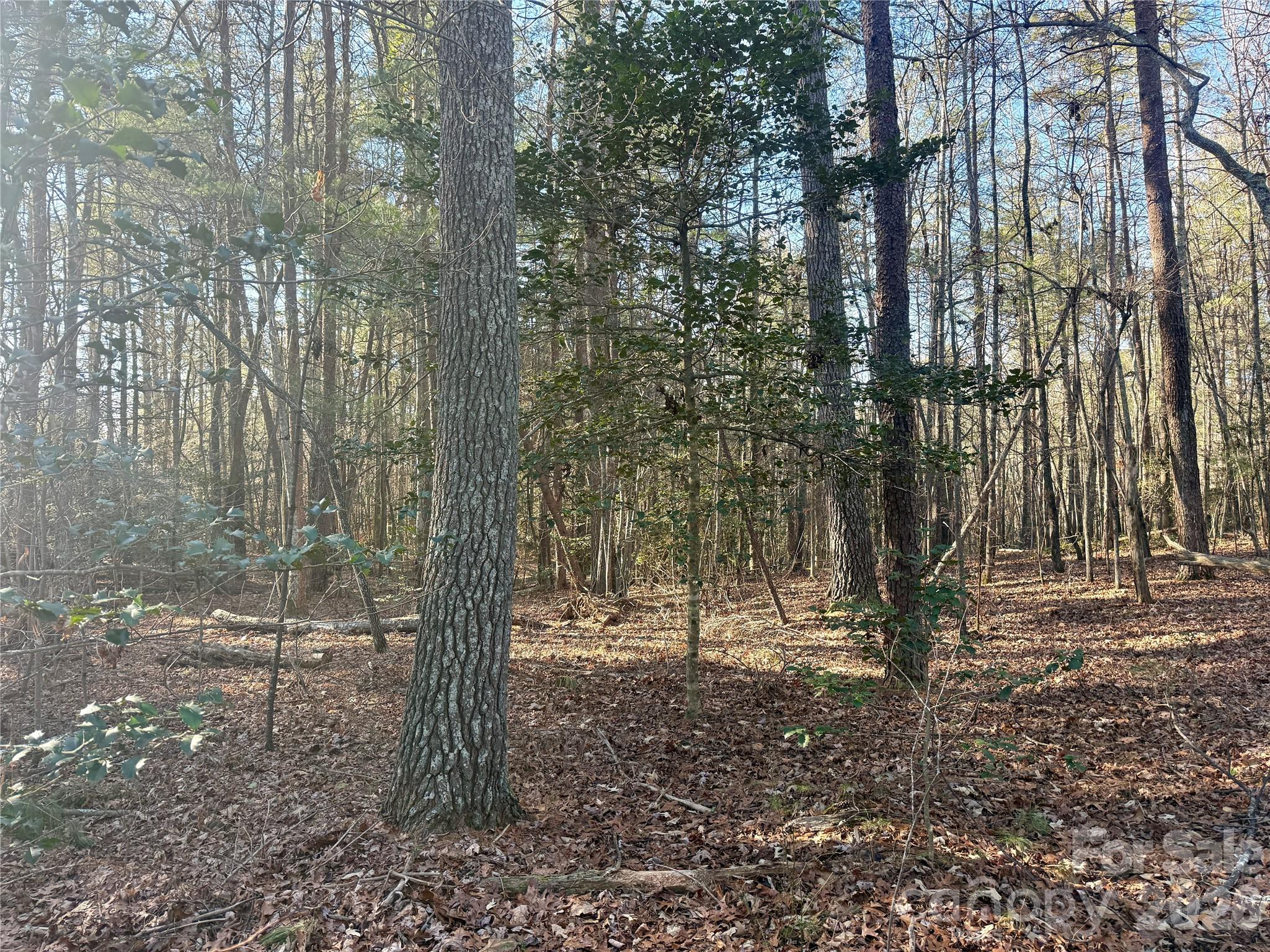 2095 Hitching Post Trail Lenoir NC 28645