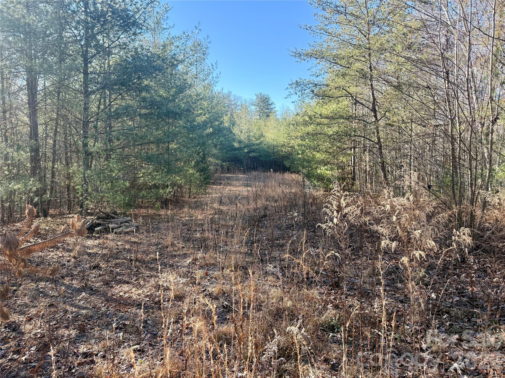 2095 Hitching Post Trail Lenoir NC 28645