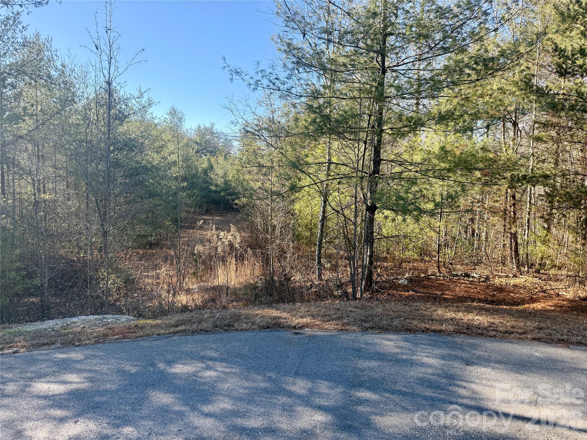 2095 Hitching Post Trail Lenoir NC 28645