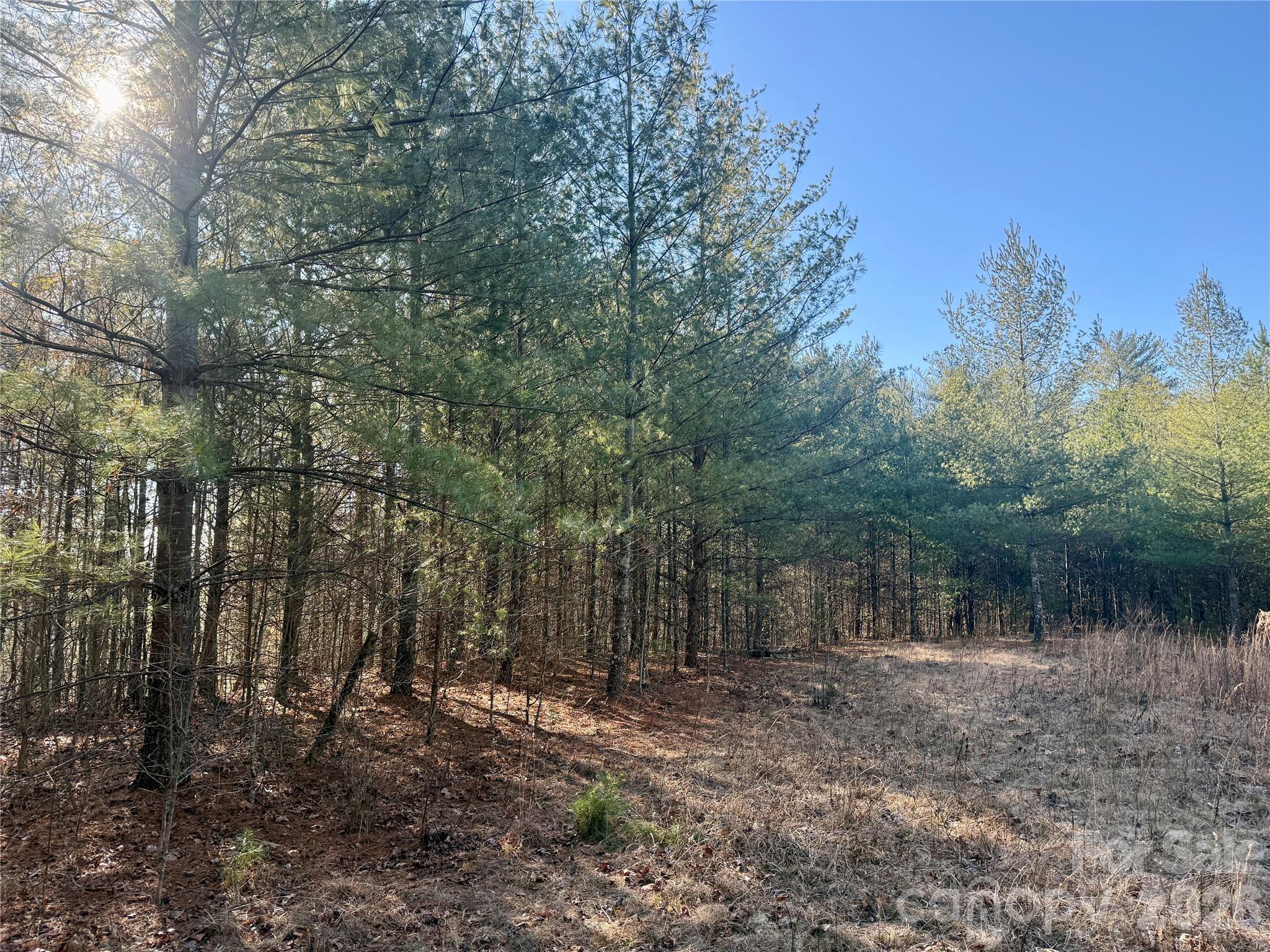 2095 Hitching Post Trail Lenoir NC 28645