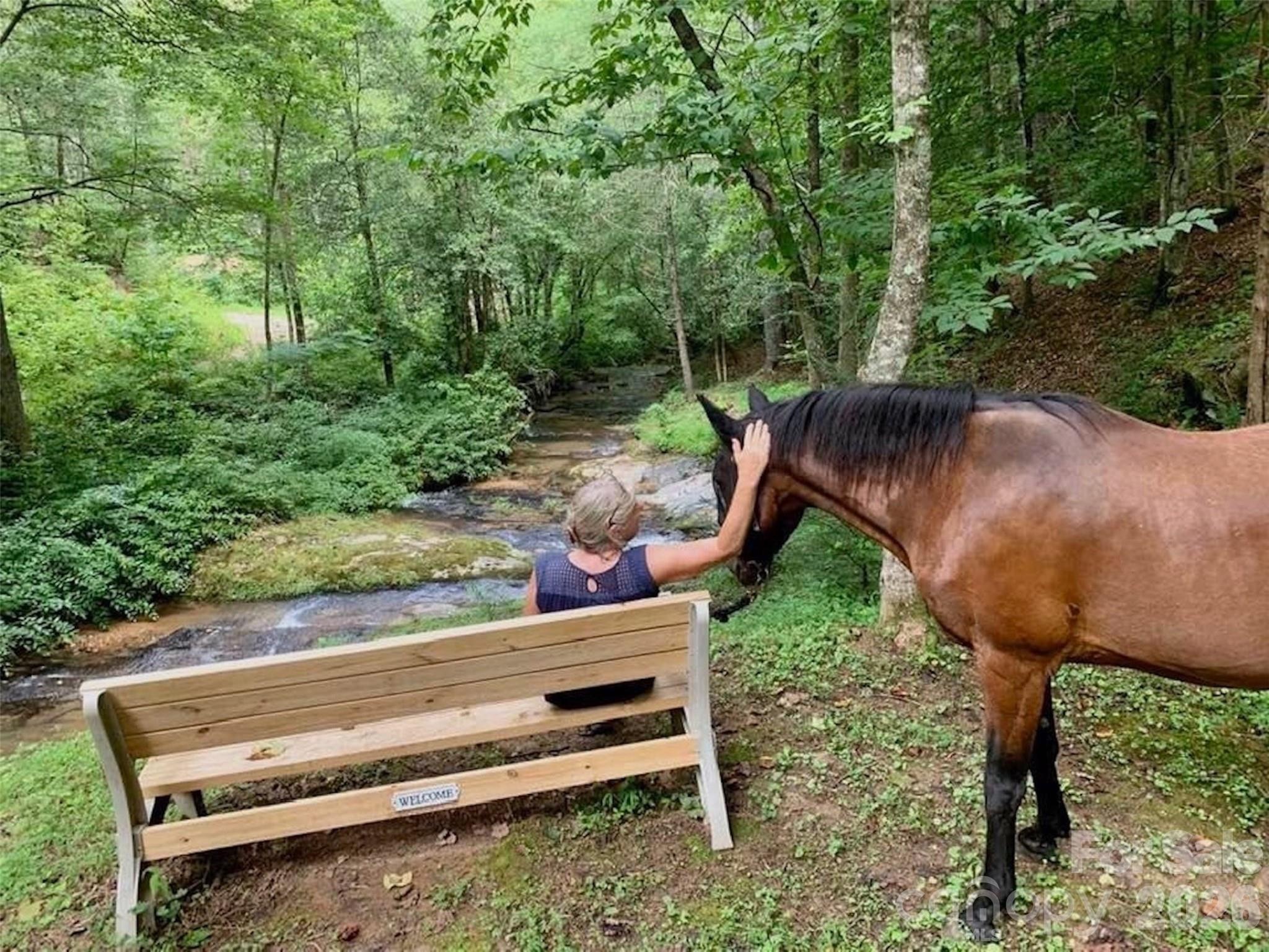 2095 Hitching Post Trail Lenoir NC 28645