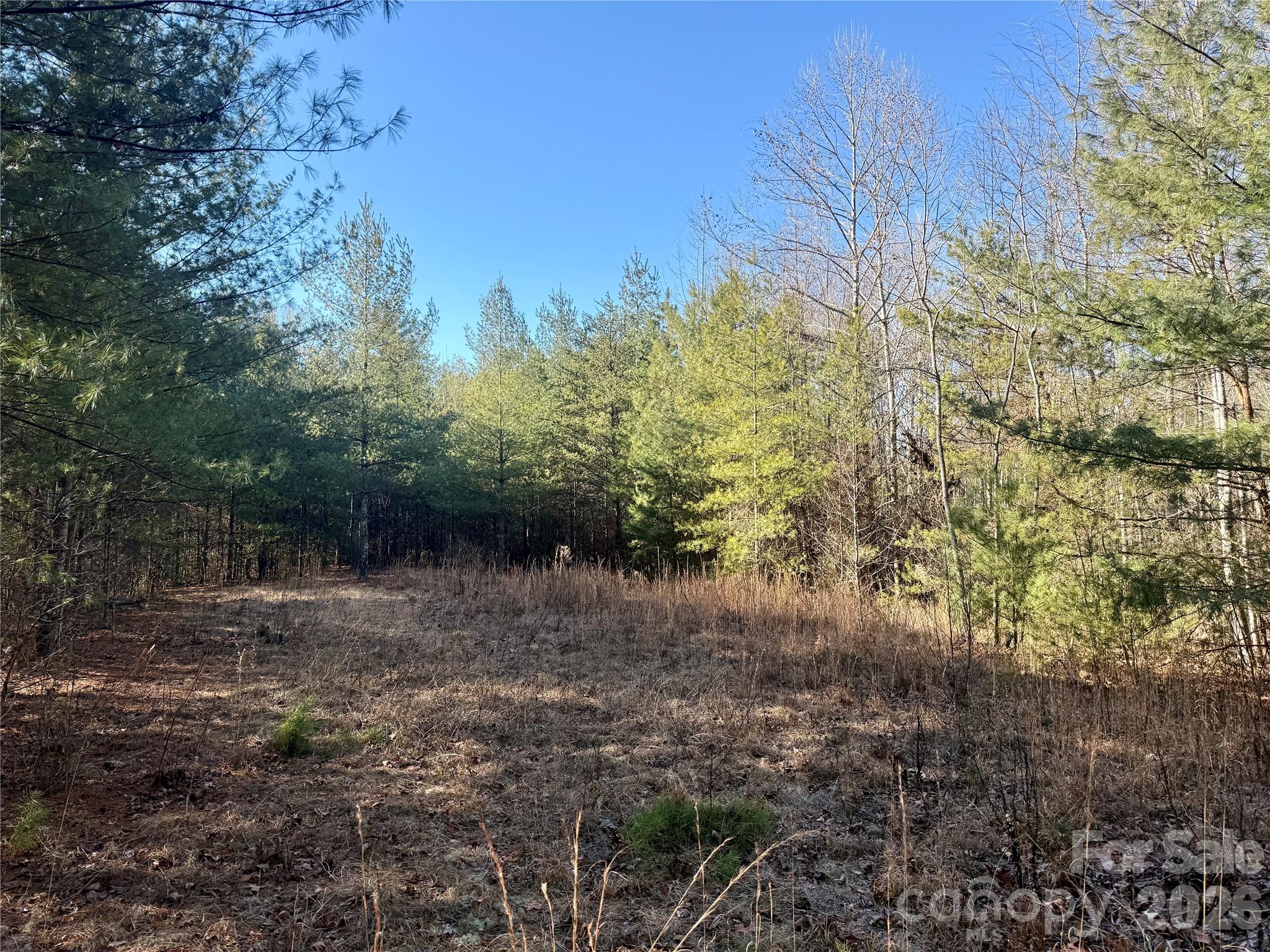 2095 Hitching Post Trail Lenoir NC 28645