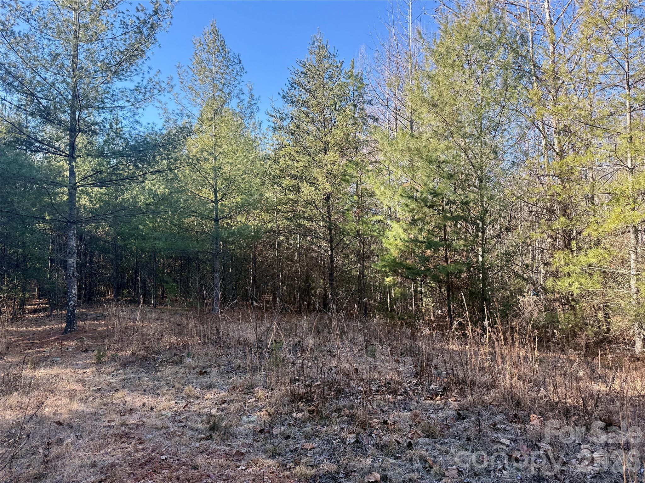 2095 Hitching Post Trail Lenoir NC 28645