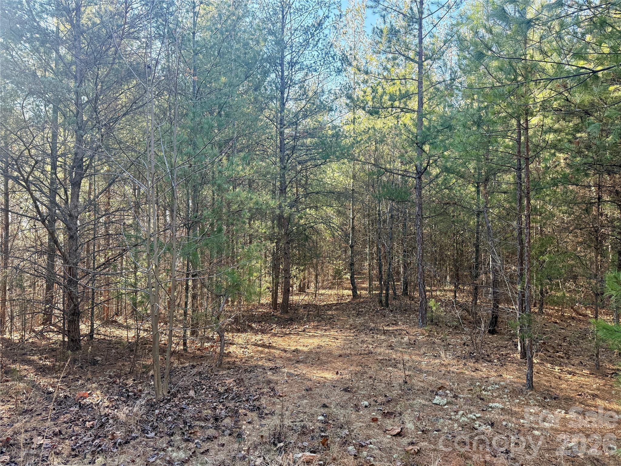 2095 Hitching Post Trail Lenoir NC 28645