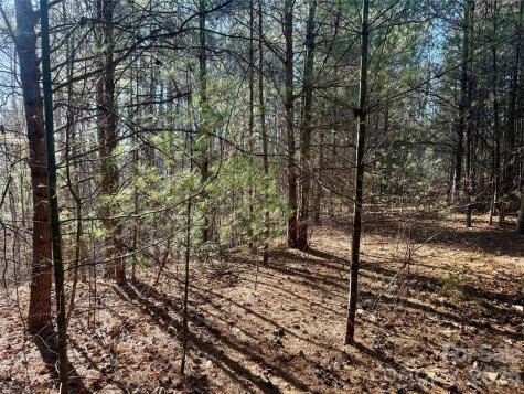 2095 Hitching Post Trail Lenoir NC 28645