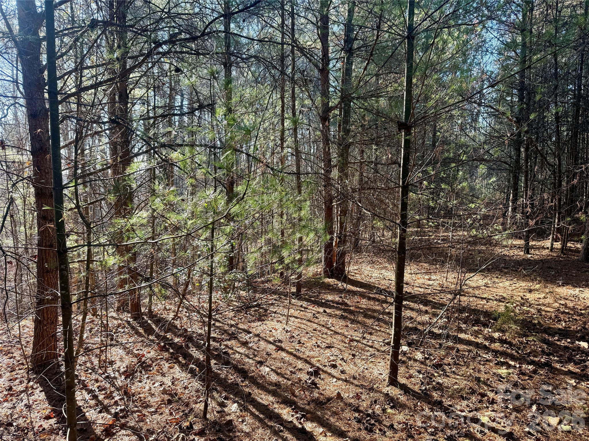 2095 Hitching Post Trail Lenoir NC 28645