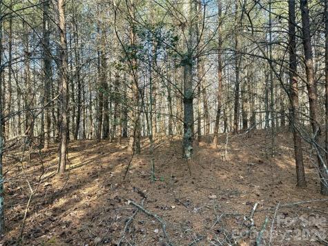 2095 Hitching Post Trail Lenoir NC 28645