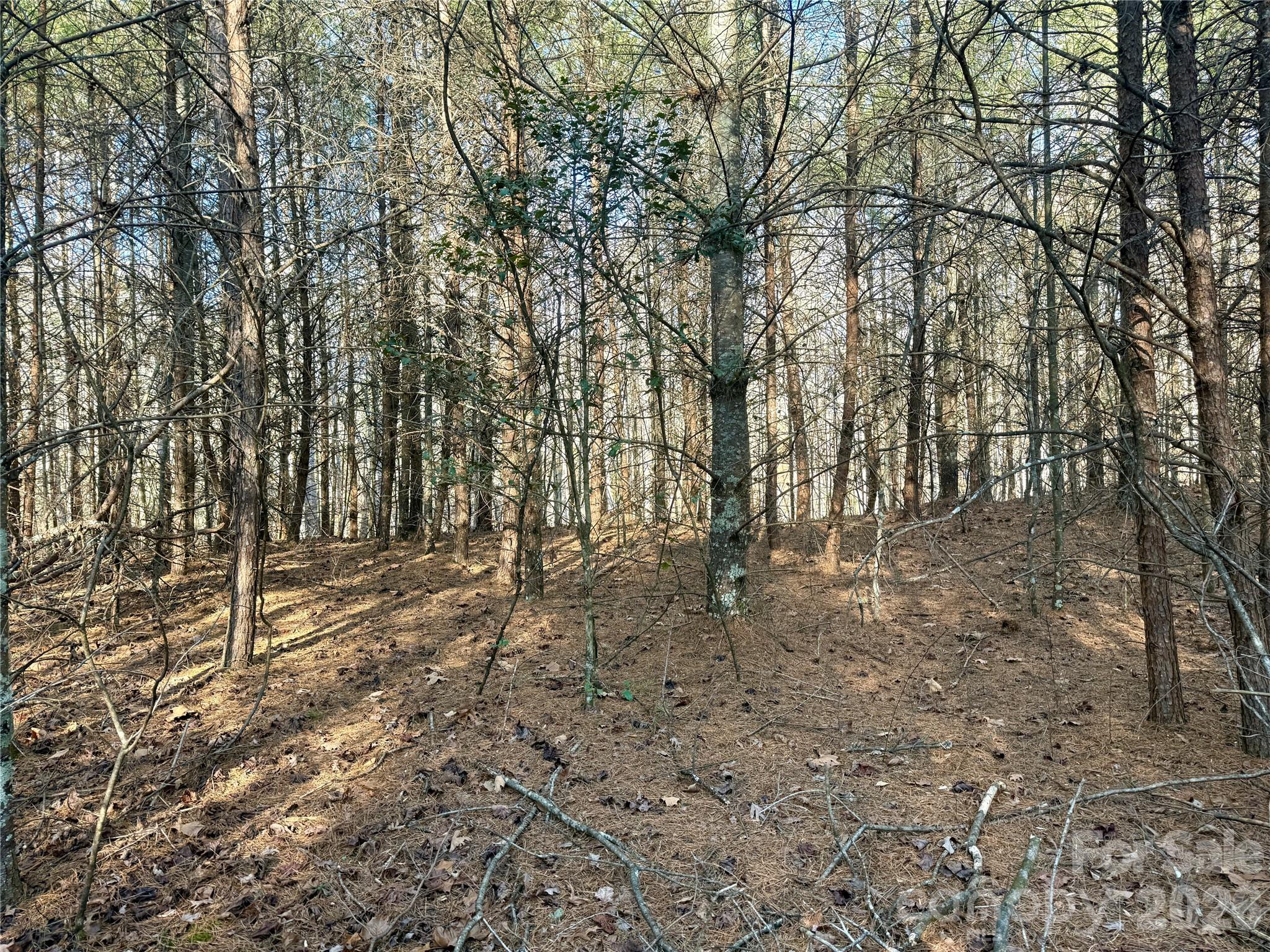 2095 Hitching Post Trail Lenoir NC 28645
