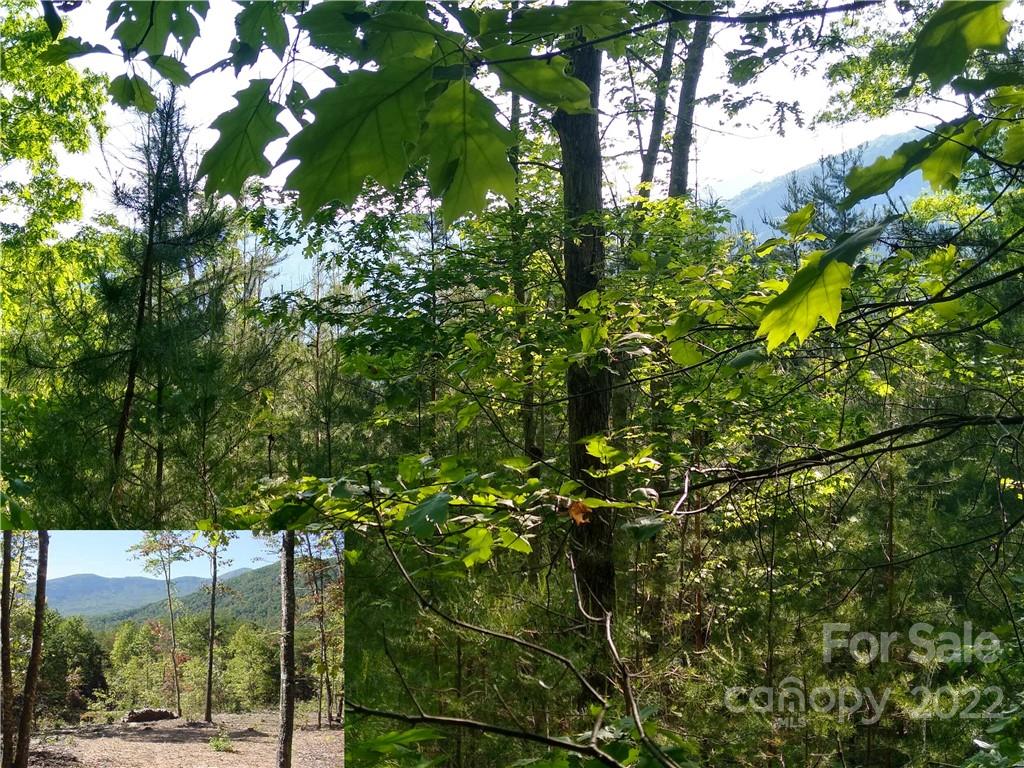 Lot 221 Davids Drive Lake Lure NC 28746